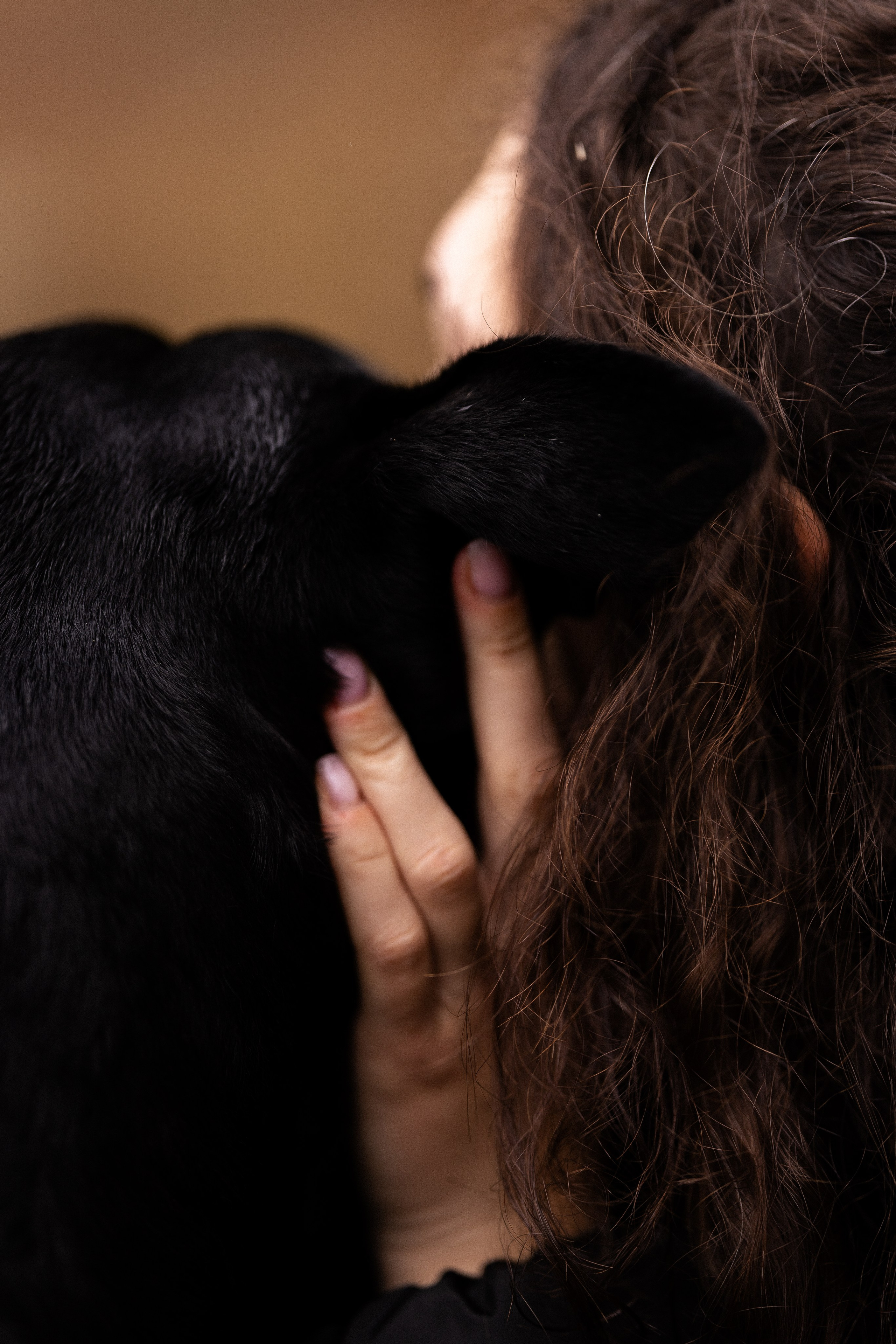 Karelia. Фотограф и видеограф анималист Аганина Дарья