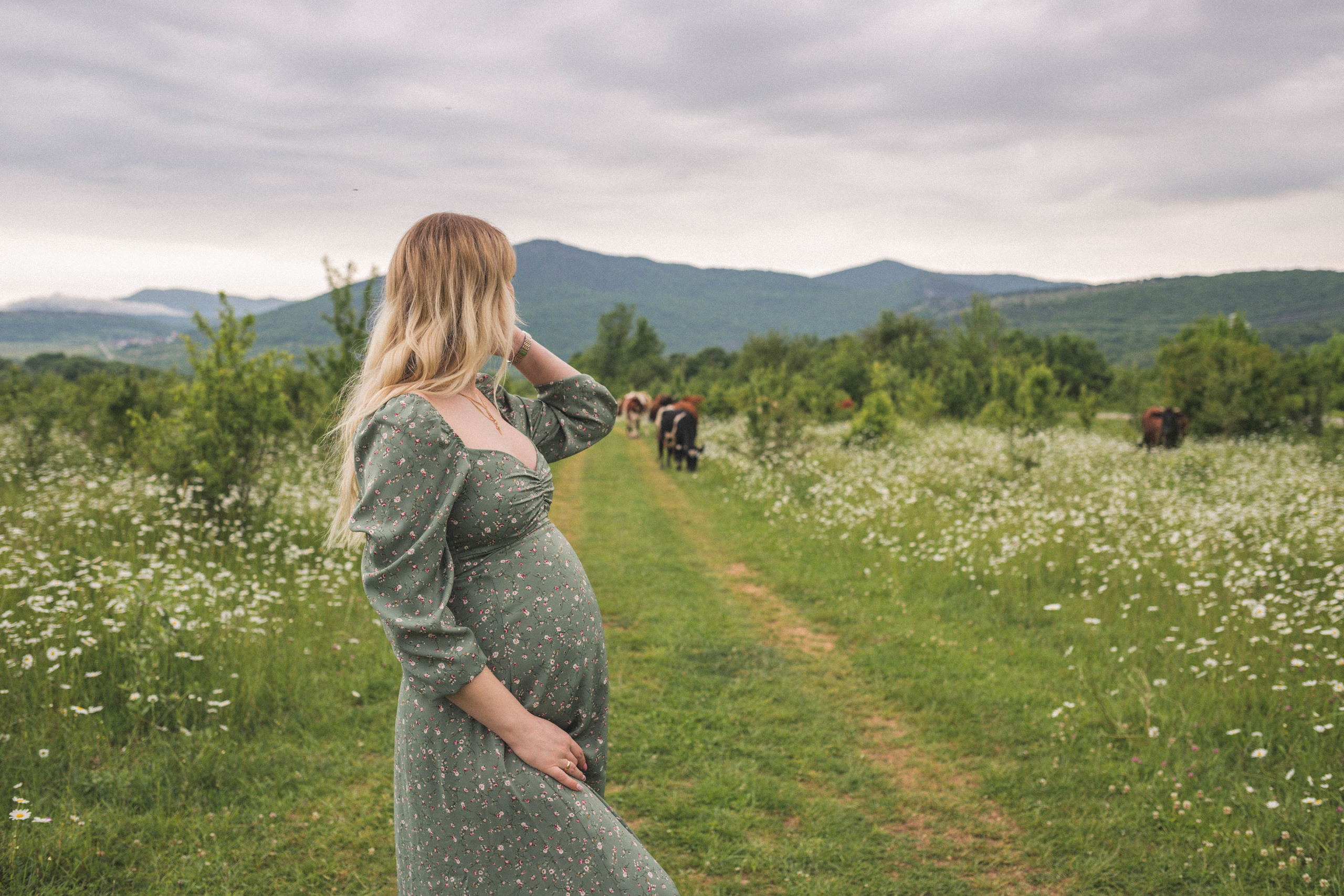 РОМАШКИ. Фотограф Немазенко Ольга