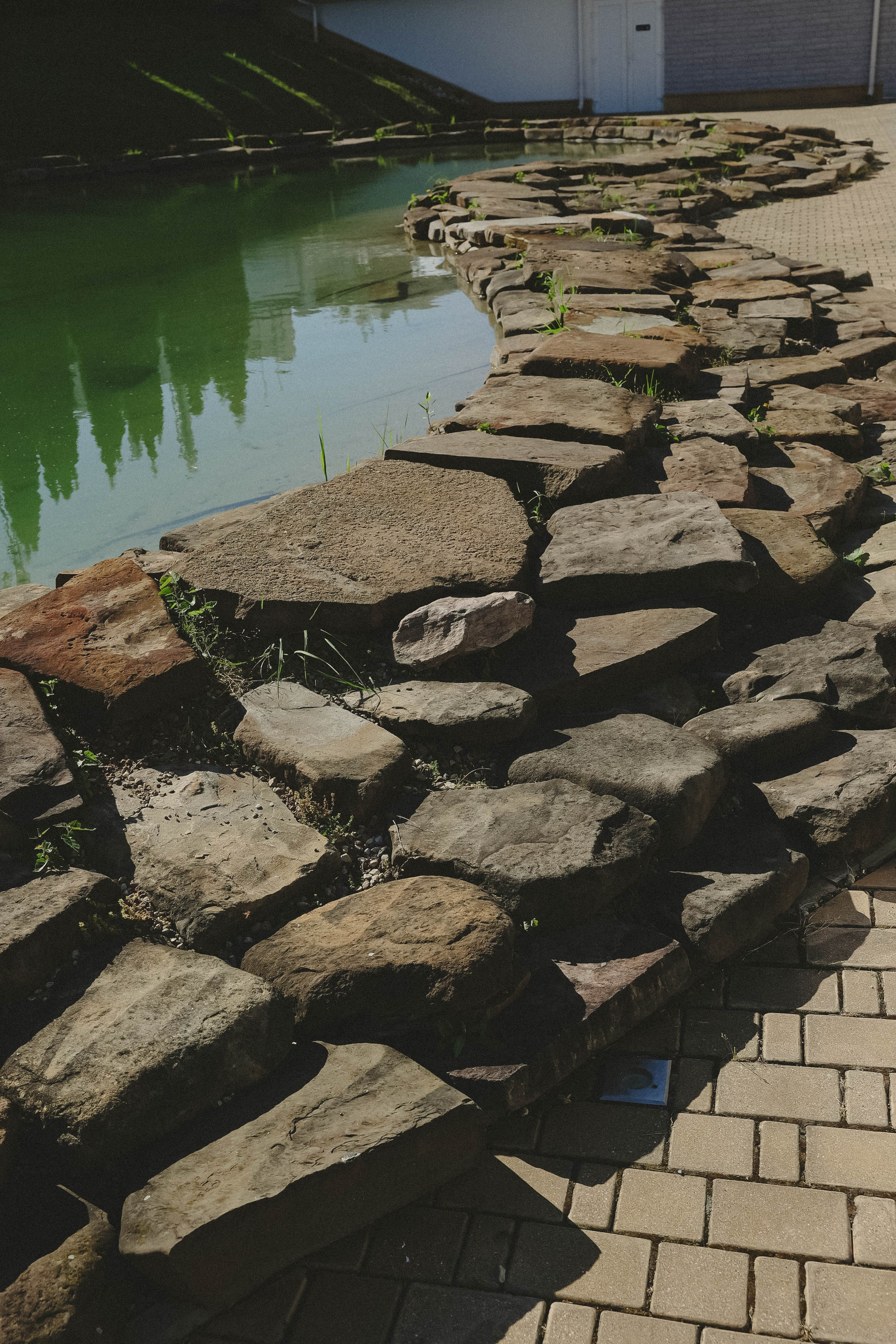 Анастасия и Владимир. Свадебный, репортажный, фотограф Москва и Московская область