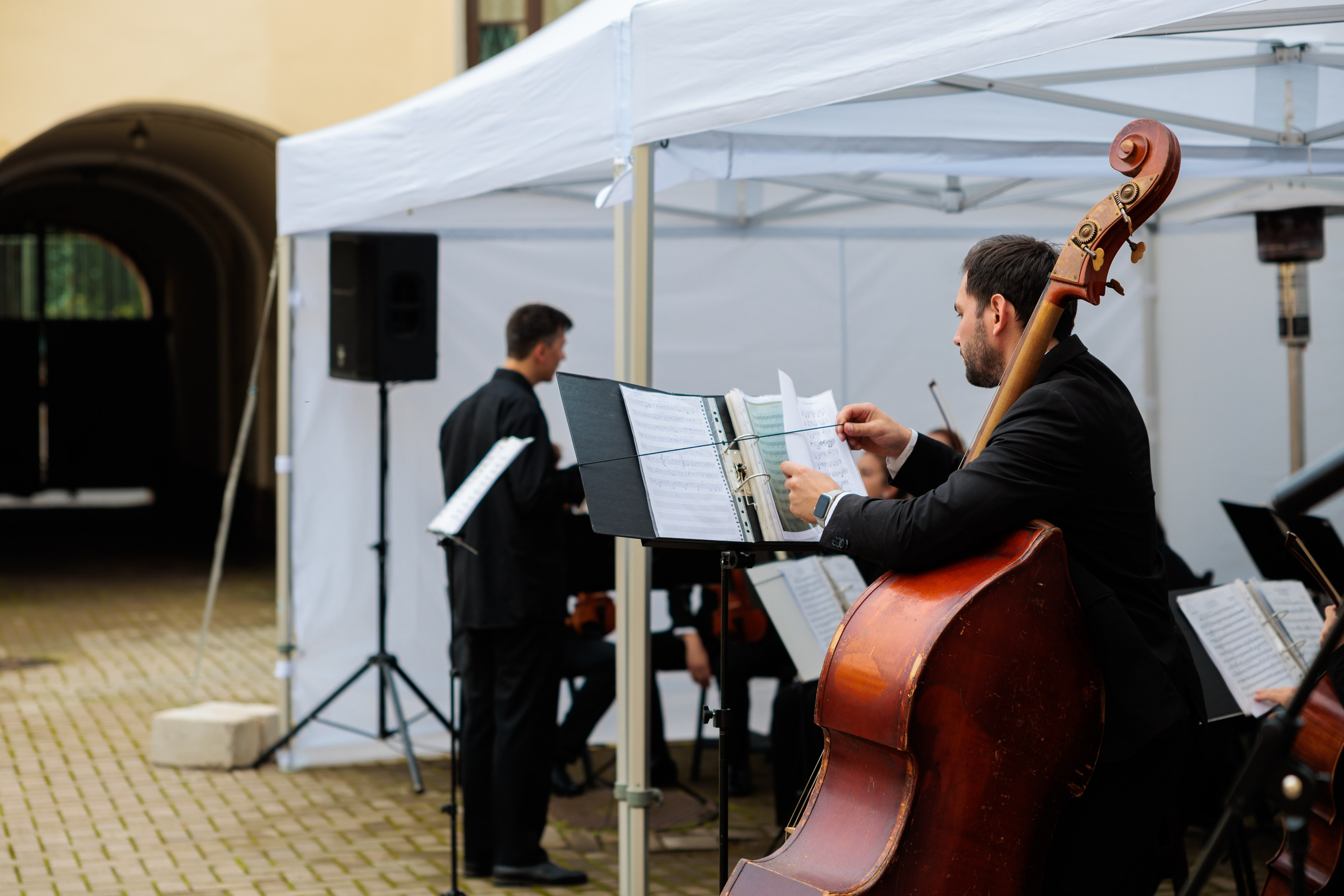 Концерт малого симфонического оркестра. Репортажный фотограф Санкт-Петербург | Роман Карбышев