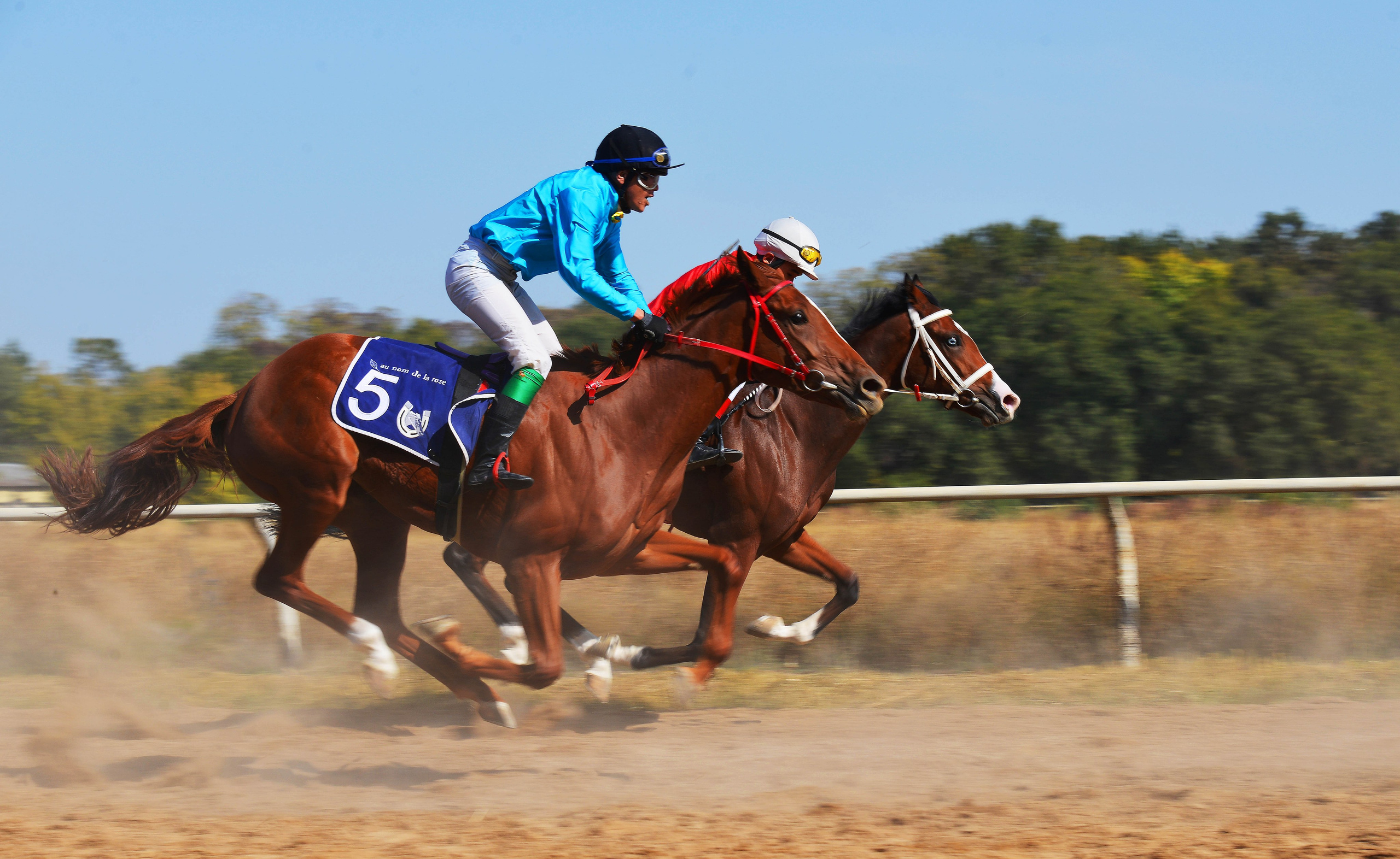 Скачки. Фотосъёмка. Фотограф Сергей Авдеев-семейный и детский фотограф в Алматы
