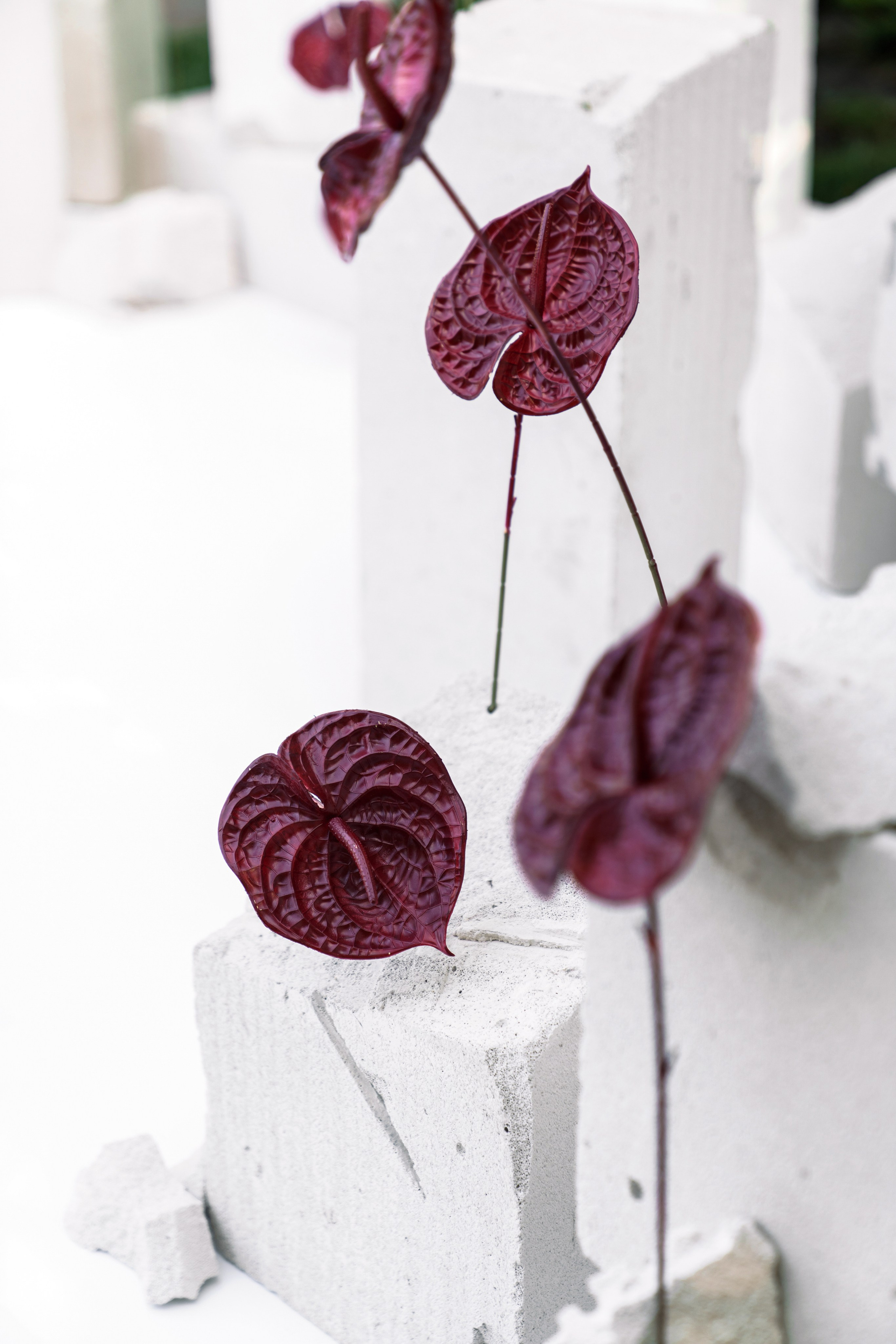 Михаил|Анастасия. Свадебный фотограф в Ростове-на-Дону Саша Филатова