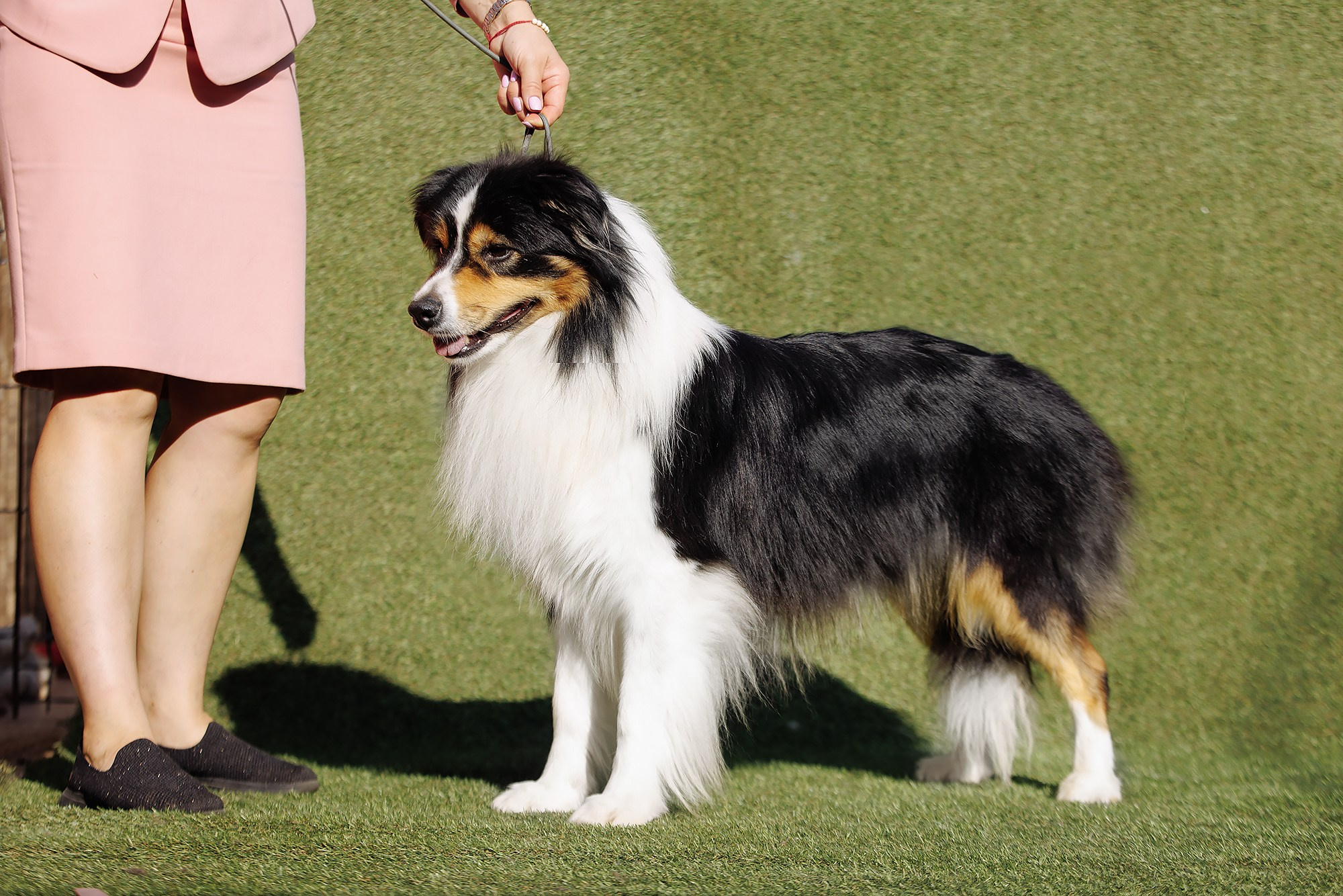 Трава у дома. О нас