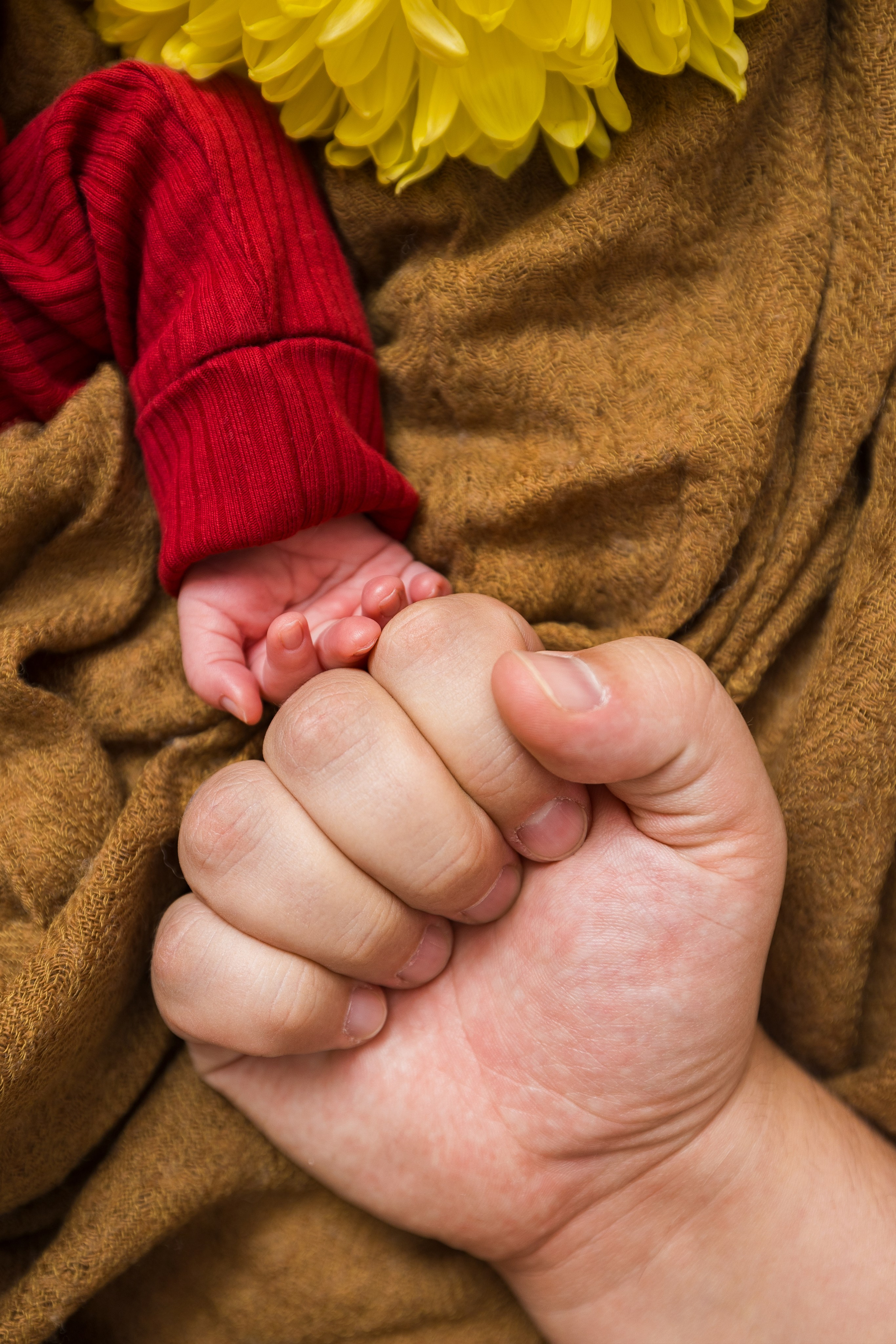 Newborn. Photomantis