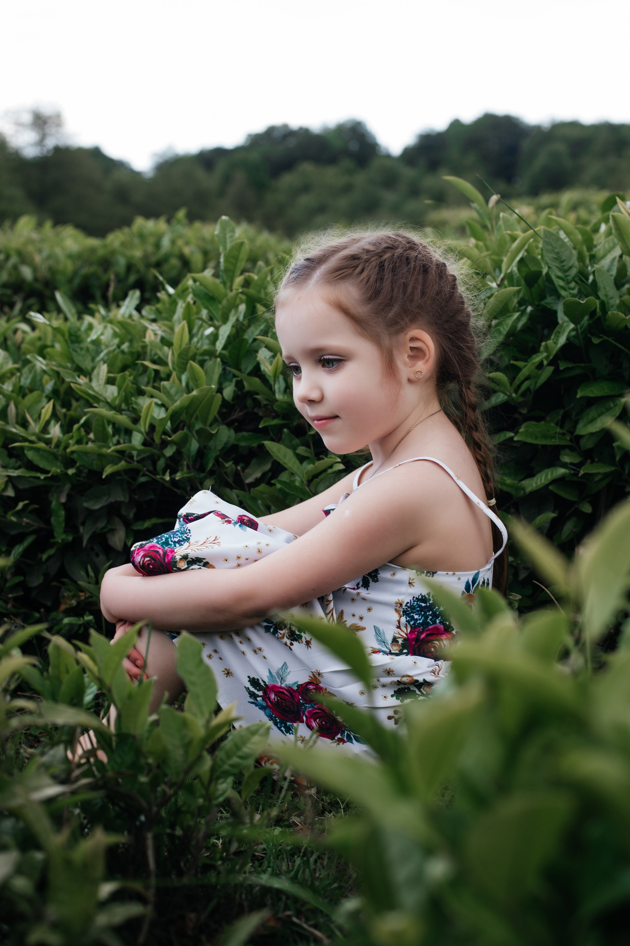 Tea plantation. Efimova Model Agency