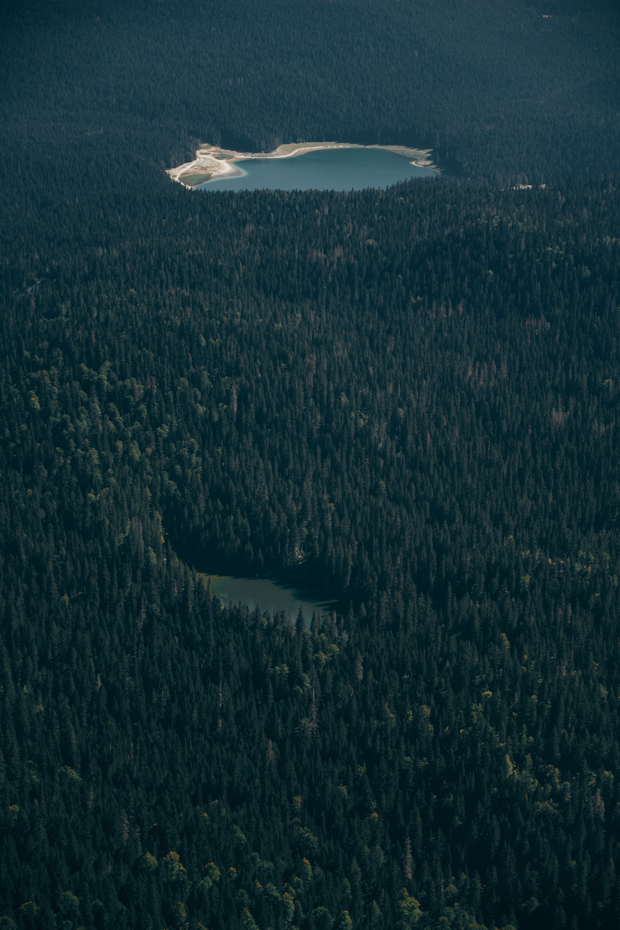 ЦРВЕНА ГРЕДА. ЧЕРНОГОРИЯ. Фотограф в Белграде Чугреева Елена