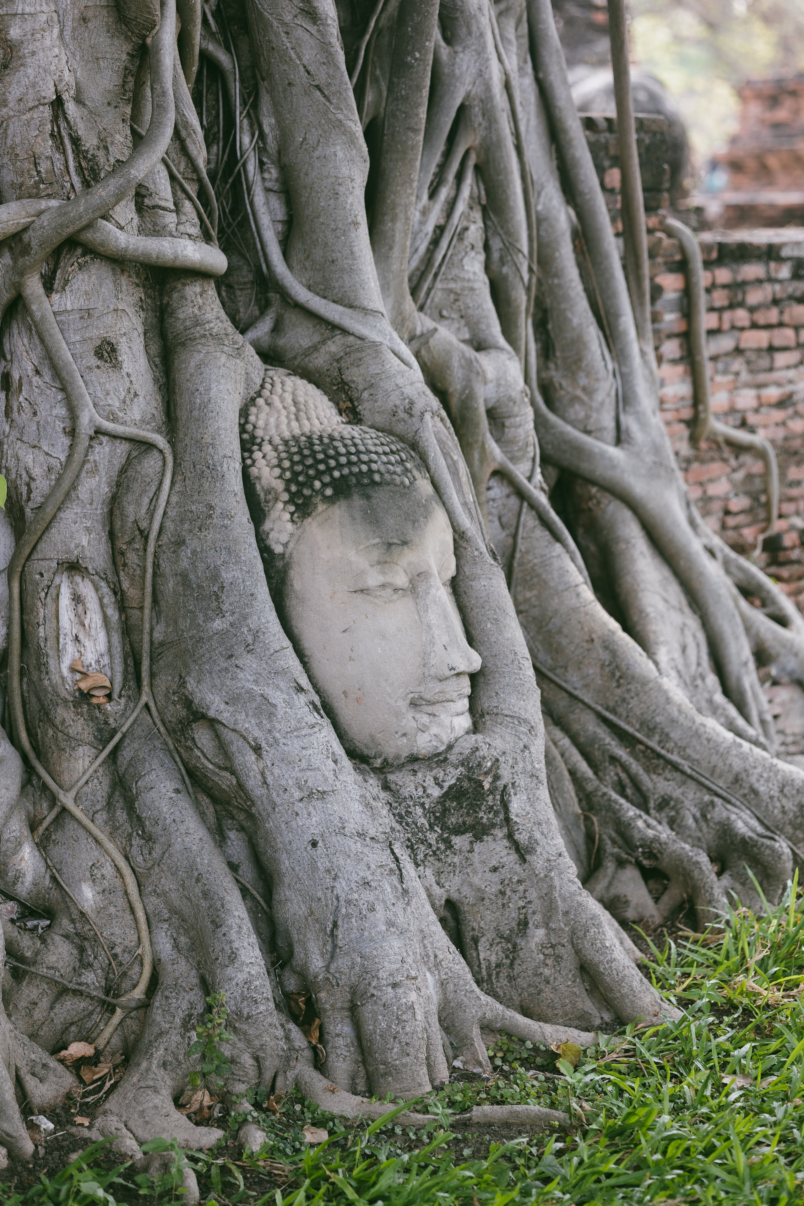 Ayutthaya. Photographer Sonkina Tatiana (Tanya Ash)