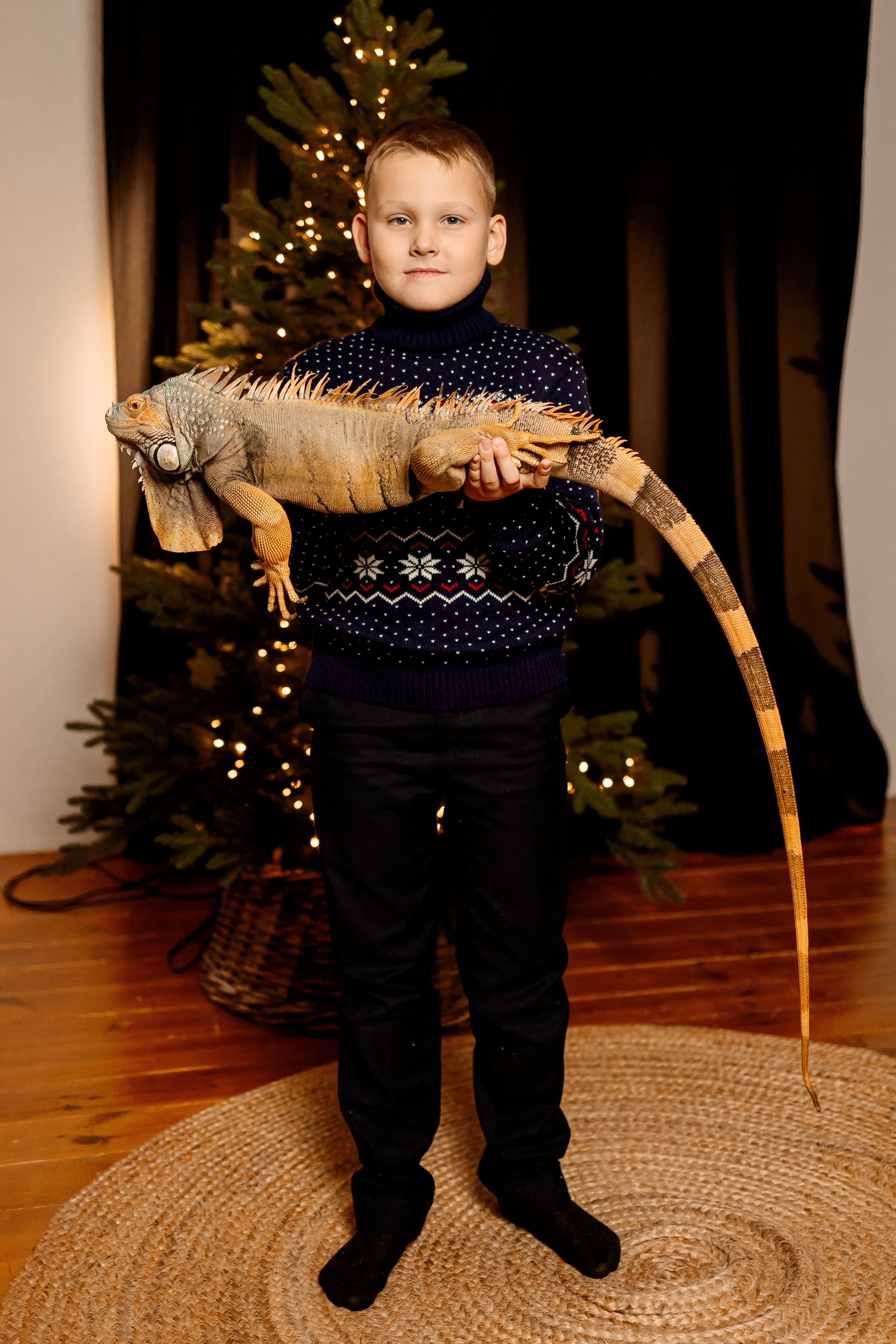 Семейная новогодняя фотосессия