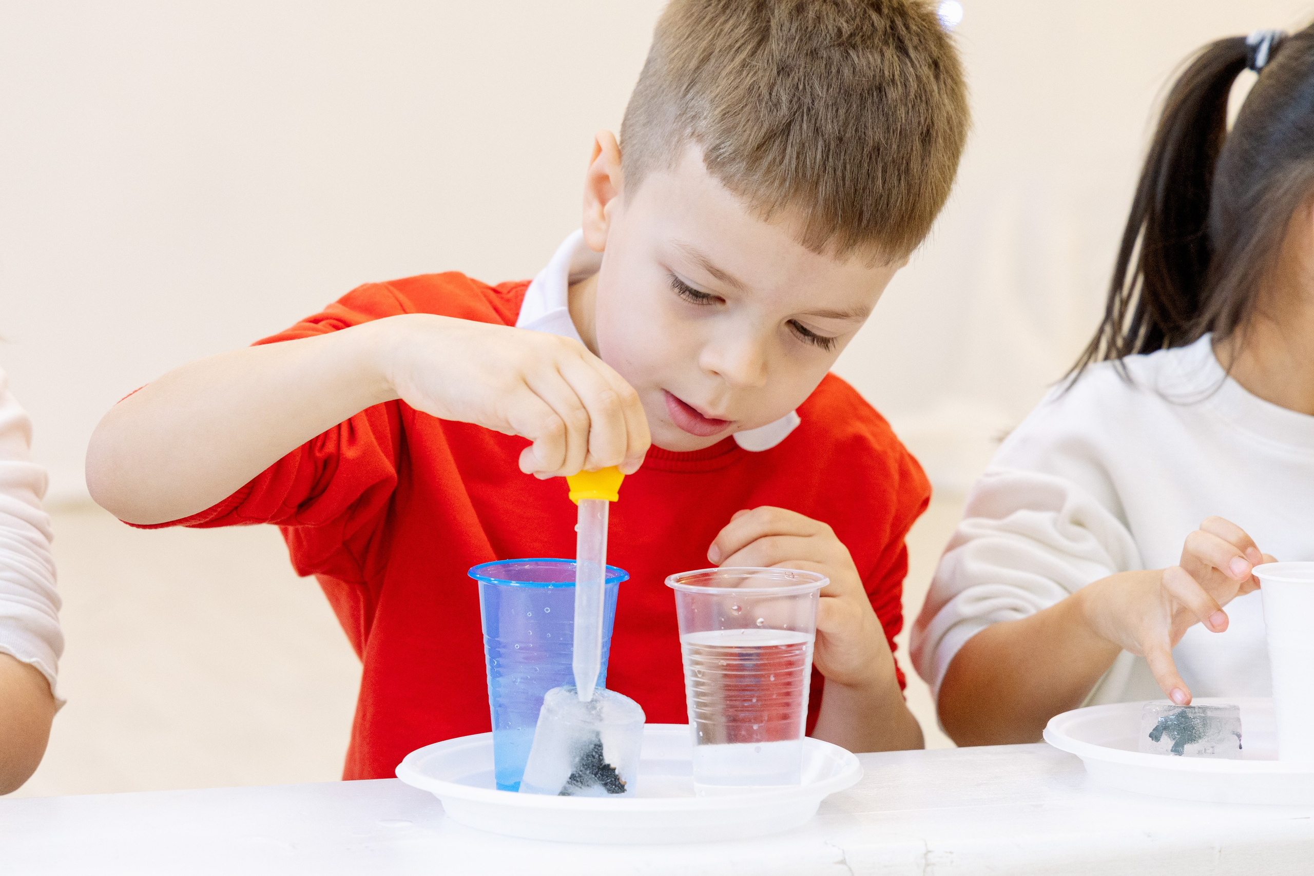 Сад и школа