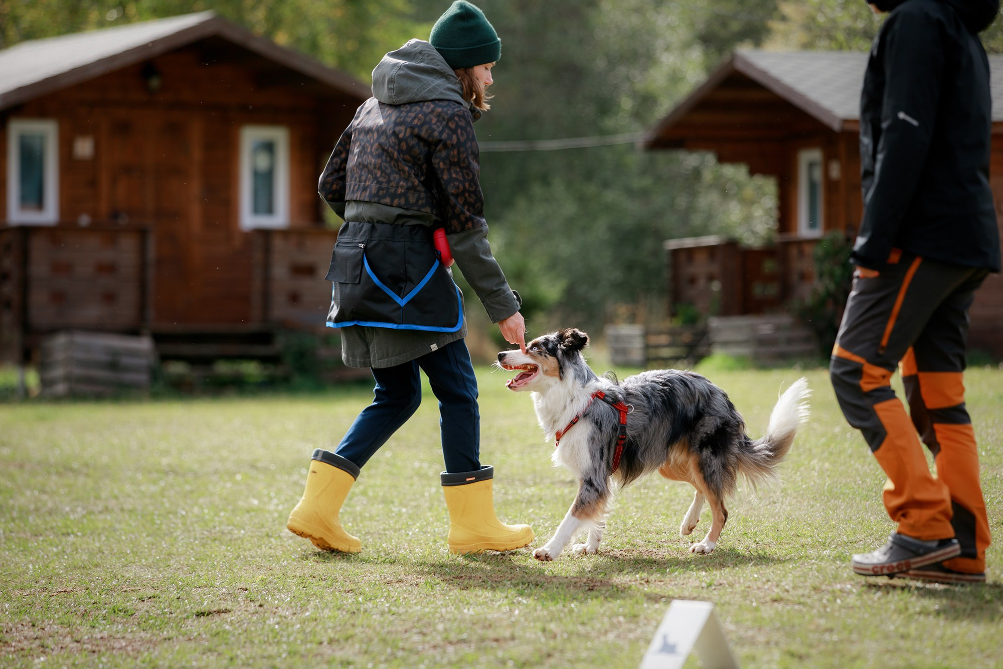 Лагерь по ОБД с Инной Баженовой. Фотограф-анималист Mary Mart — Москва, Питер