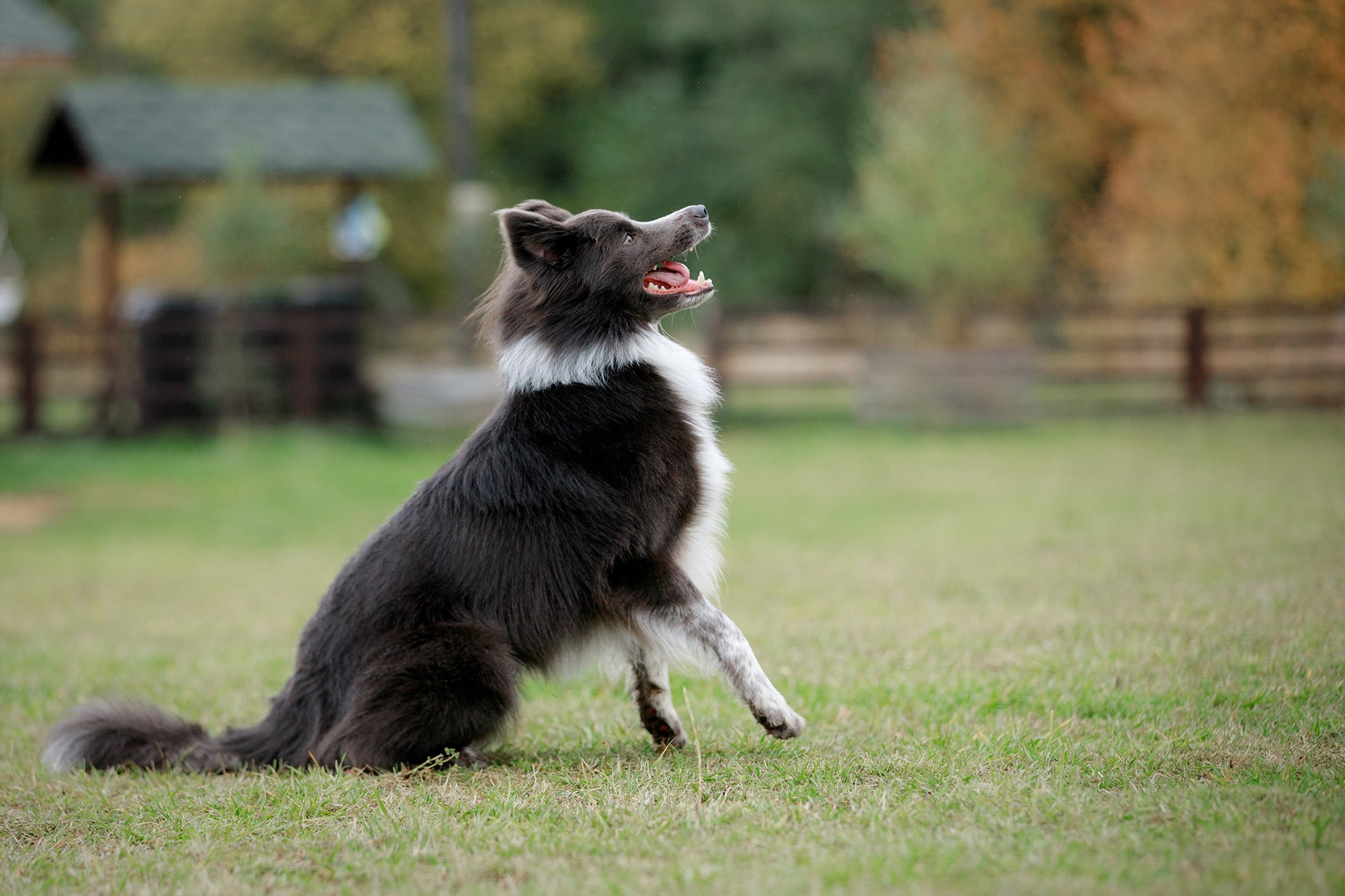 Лагерь по ОБД с Инной Баженовой. Фотограф-анималист Mary Mart — Москва, Питер