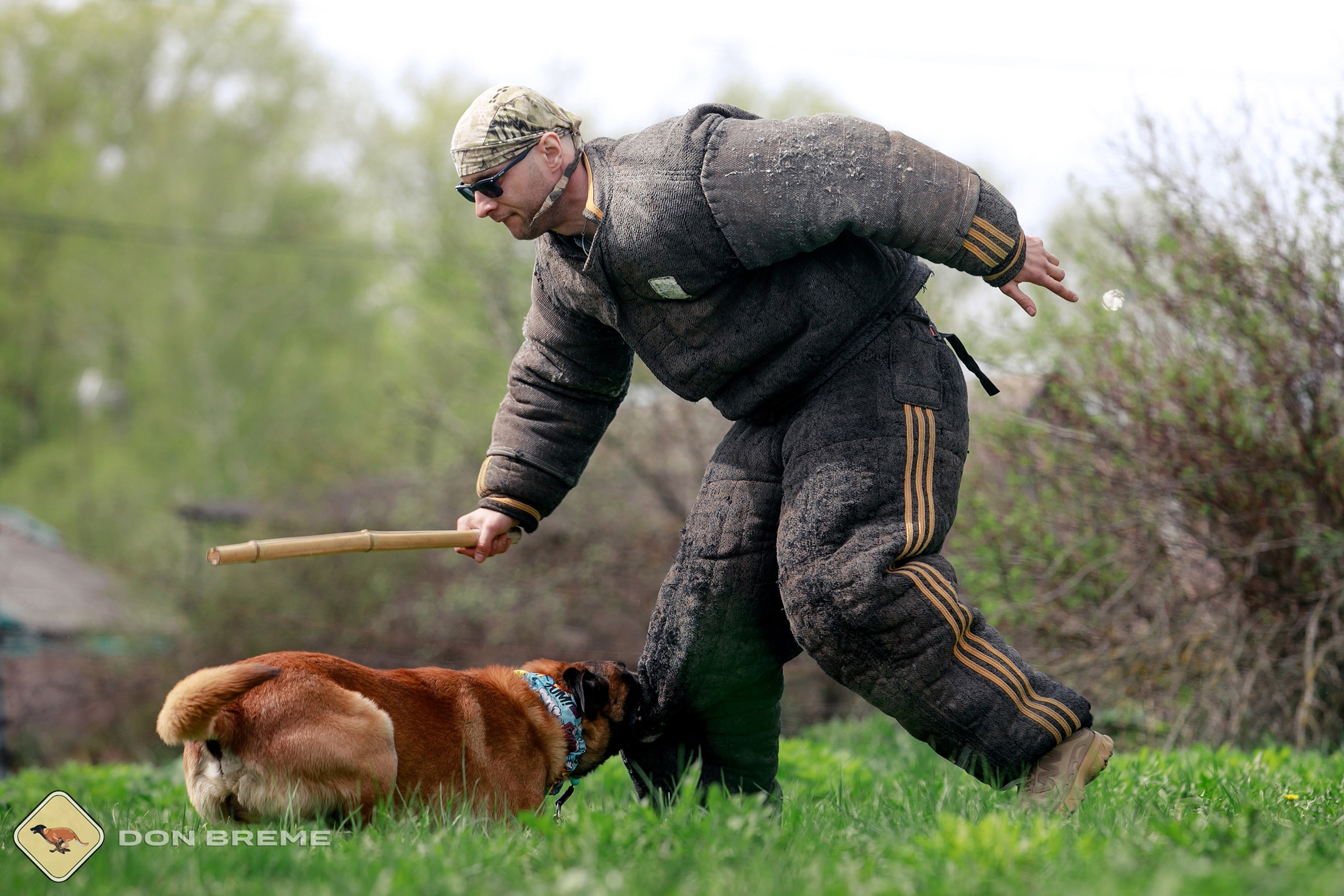 Семинар для фигурантов, день 2. Фотограф-анималист Mary Mart — Москва, Питер
