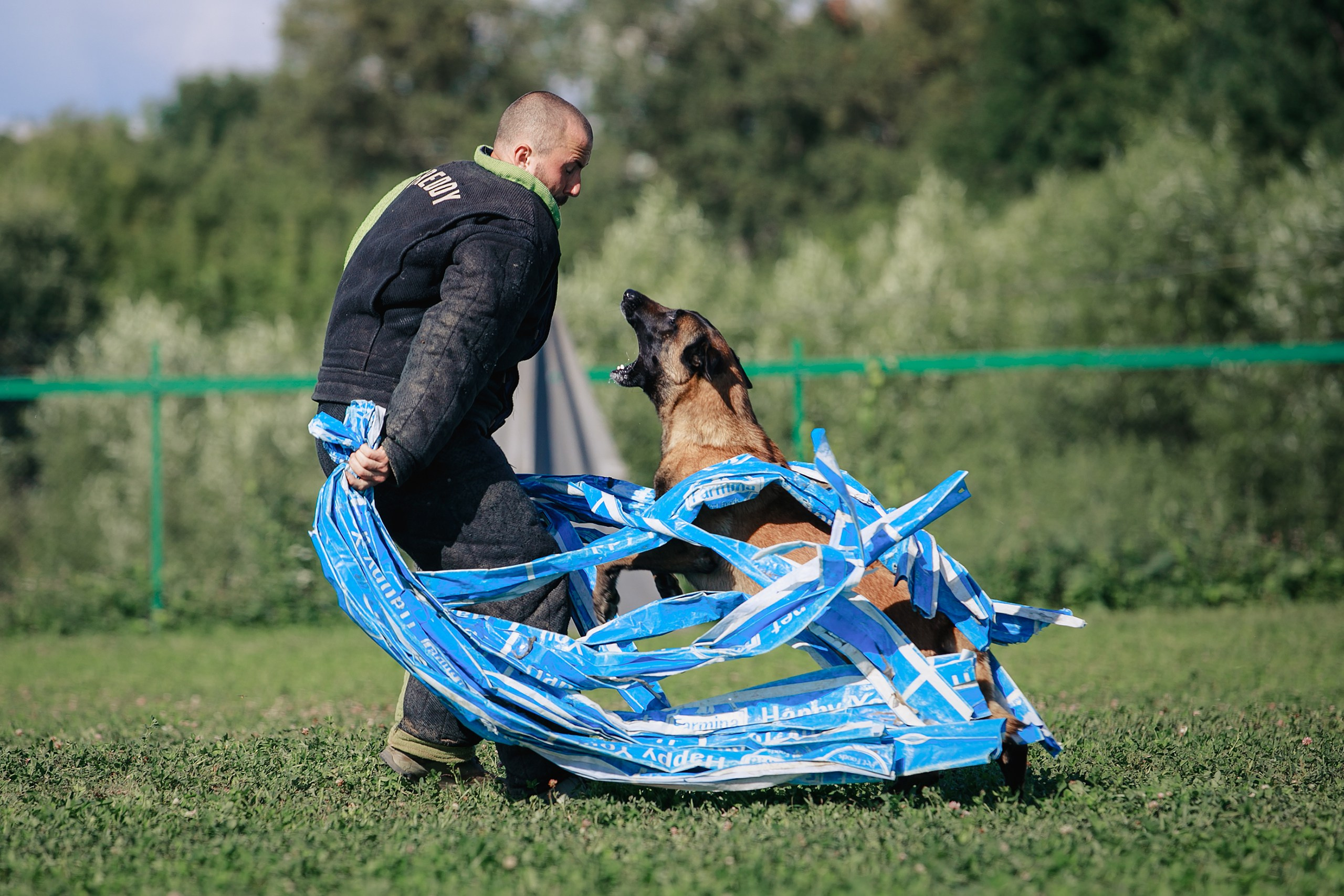 Мондьоринг М1, М2, М3, Вологда. Фотограф-анималист Mary Mart — Москва, Питер