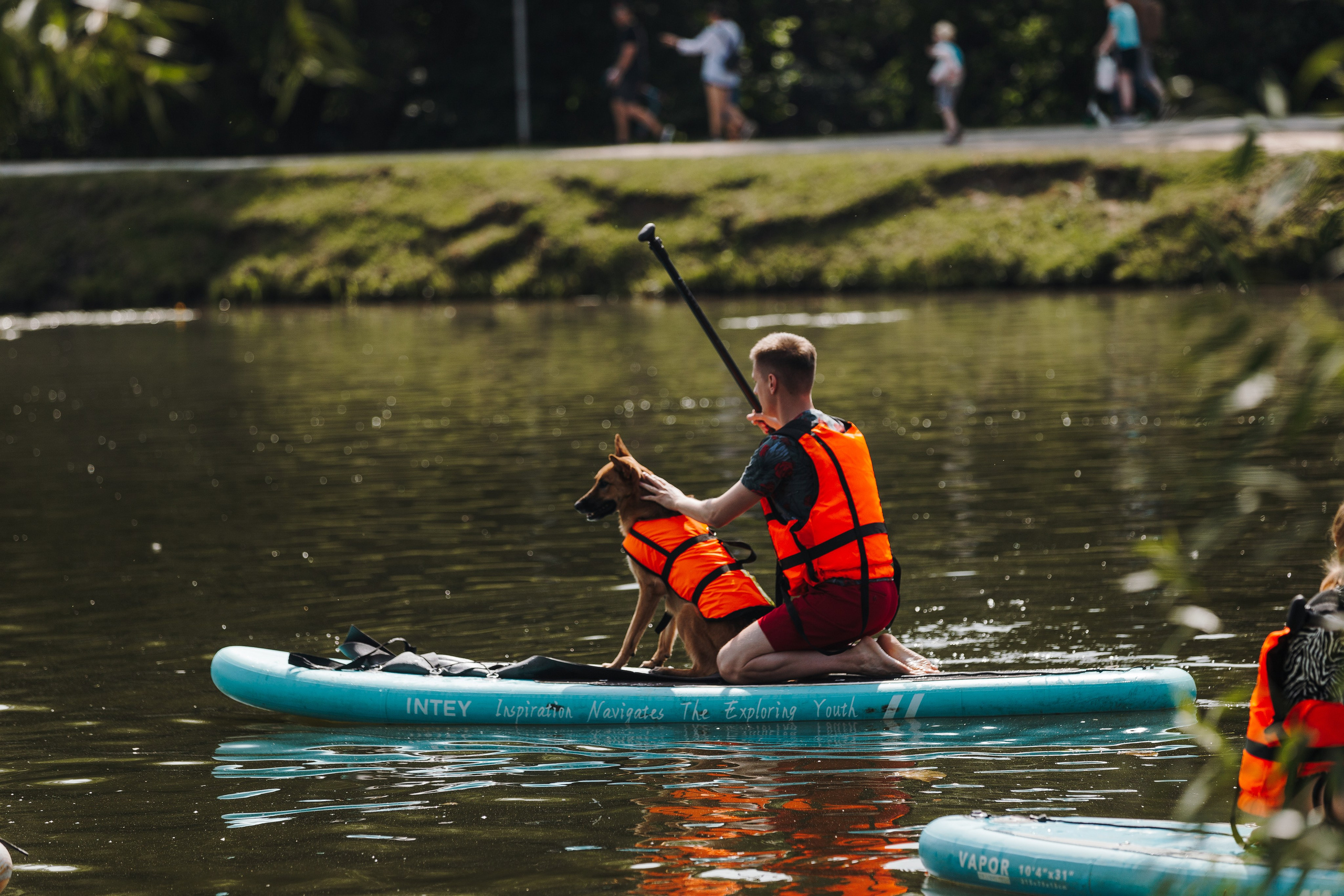 Petshop Sup day. Фотограф анималист Кристина Карпова, Москва