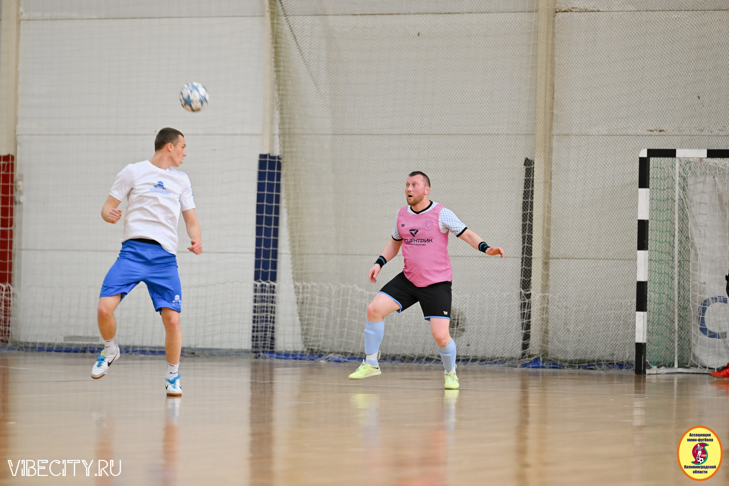 8 тур Корпоративной Бизнес-Лиги по футзалу. VIBECITY.RU Вайб Сити Ру Фоторепортажи Фотоотчеты Калининград
