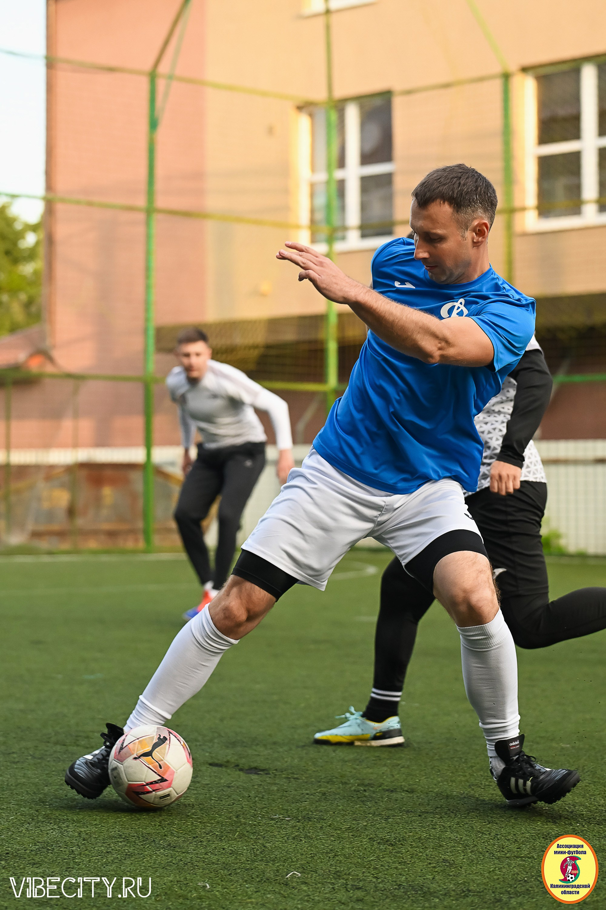 ИГРЫ ПЛЕЙ-ОФФ ПЕРВОГО ДИВИЗИОНА МИНИ-ФУТБОЛЬНОЙ ЛИГИ. VIBECITY.RU Вайб Сити Ру Фоторепортажи Фотоотчеты Калининград