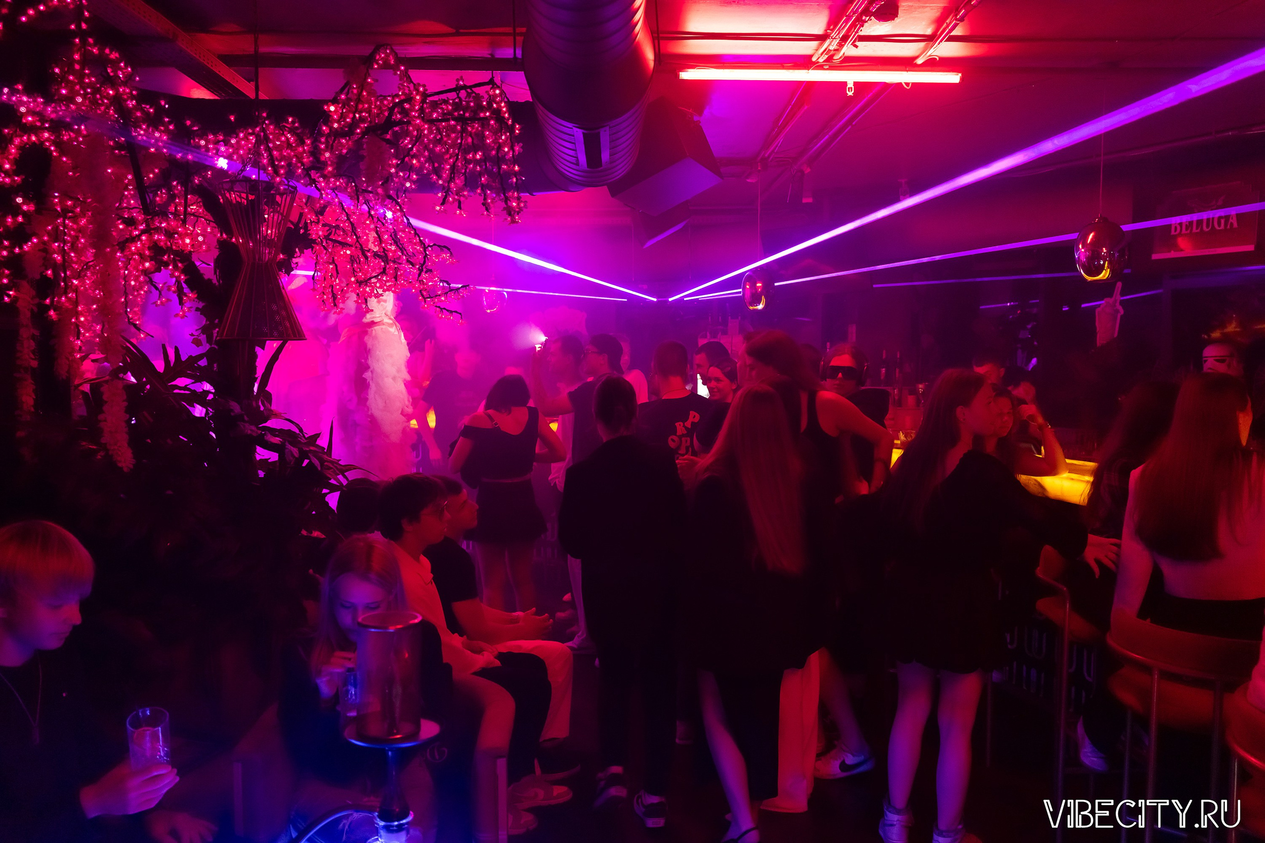 DOUBLE U. VIBECITY.RU Вайб Сити Ру Фоторепортажи Фотоотчеты Калининград