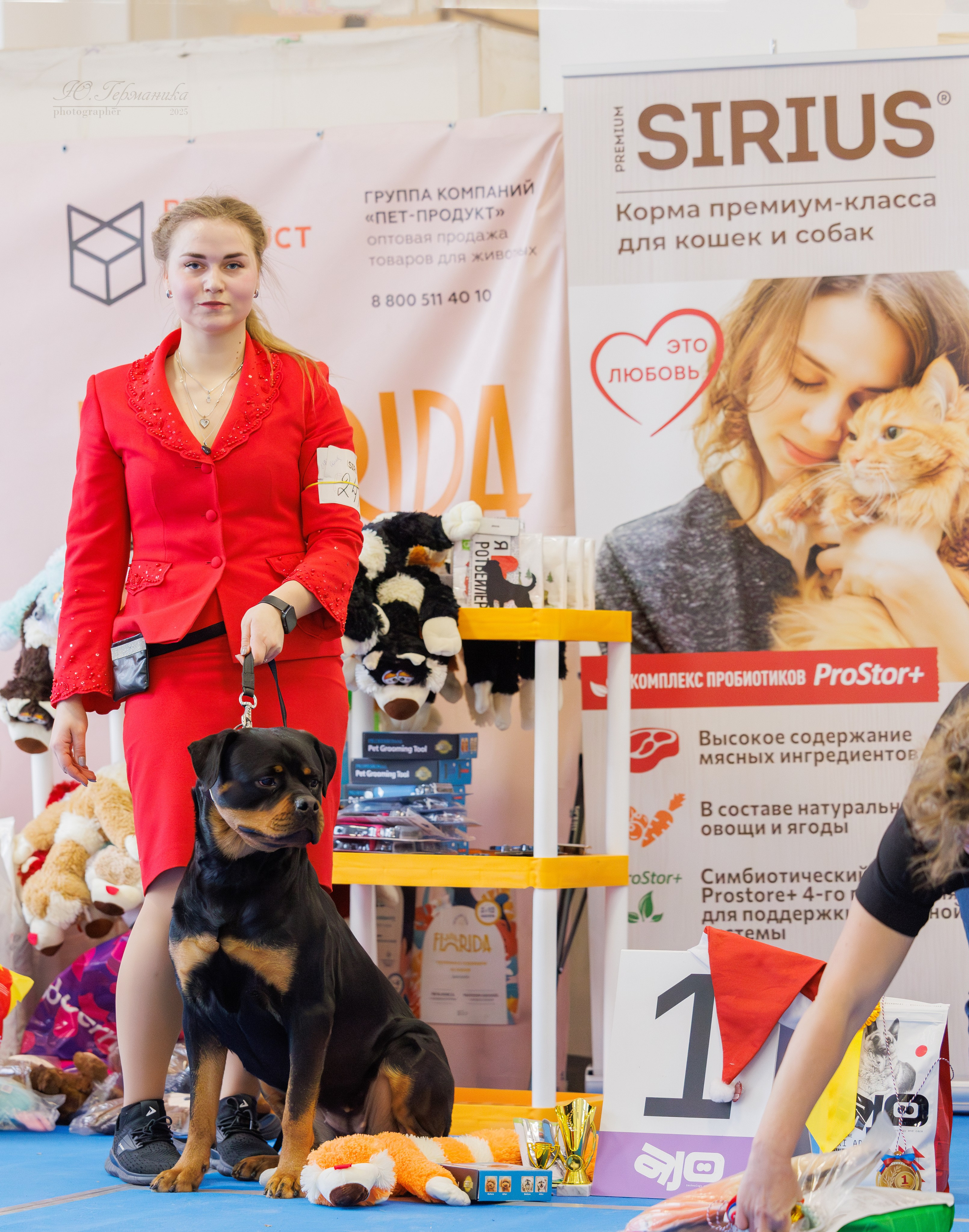 Питер ротвейлеры 18.01,Крокус 19.01.2025. Фотограф-анималист Юлия Германика