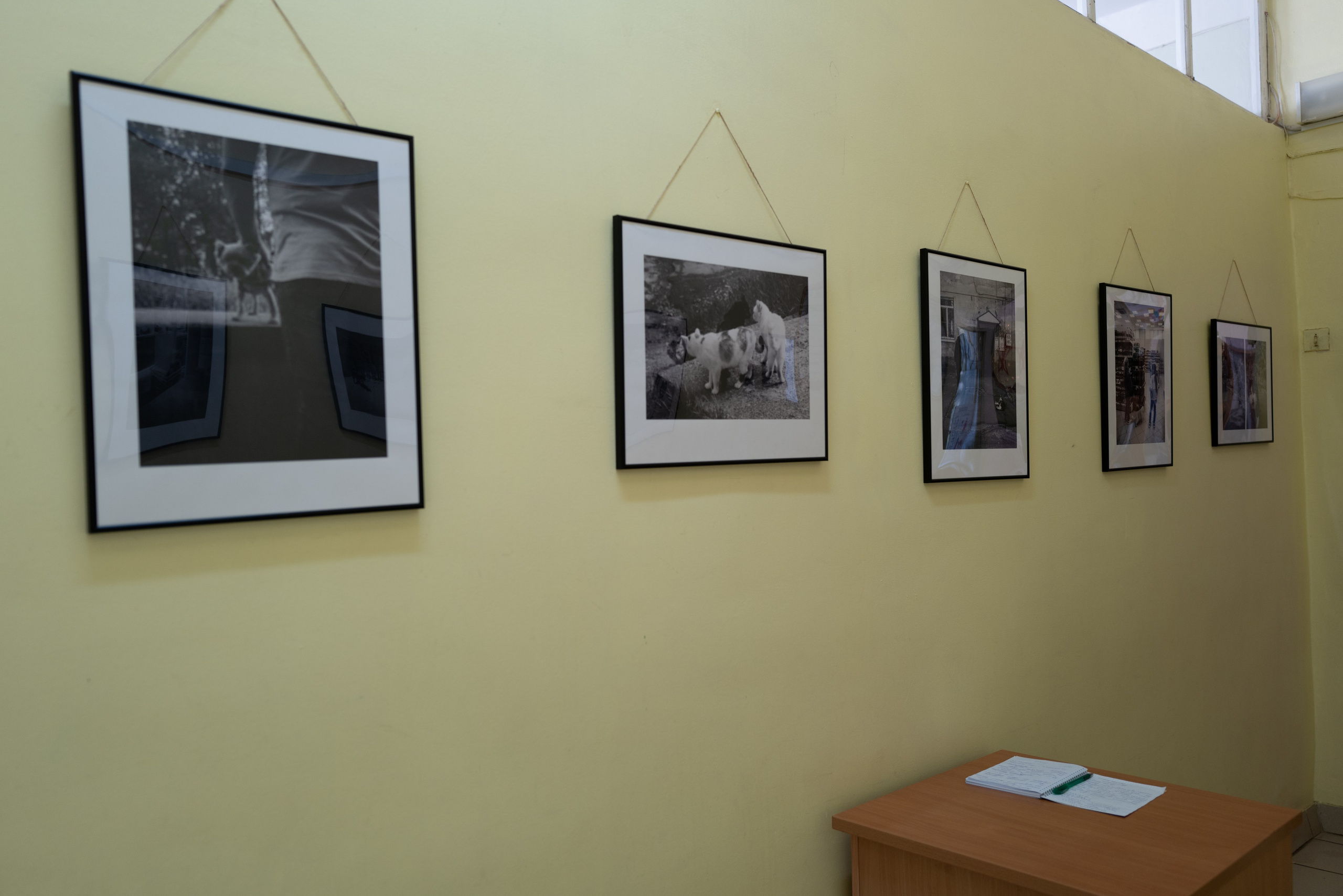 Выставка 01.04.2025. Фотограф Александр Тихонов