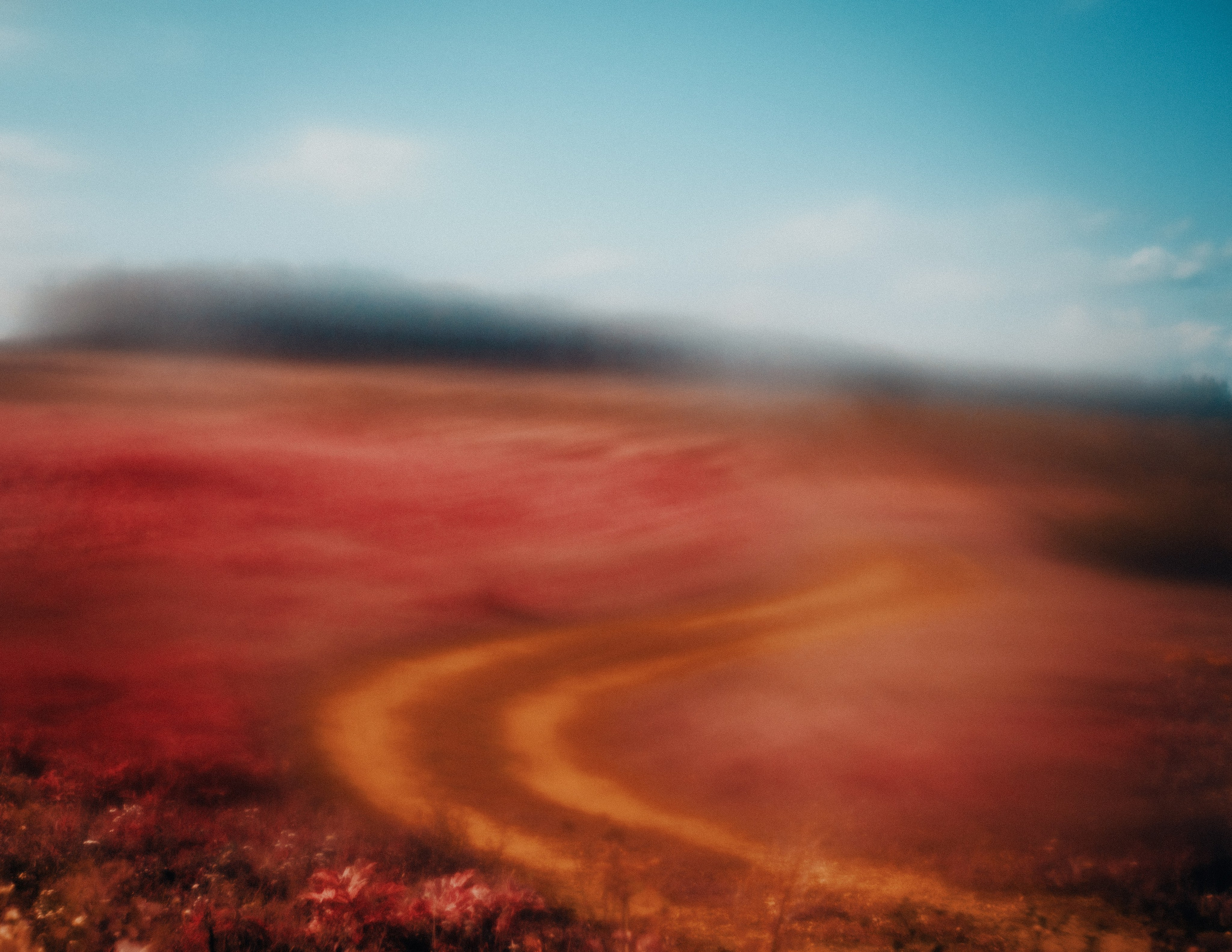 Метафизика. Фотограф Александр Тихонов