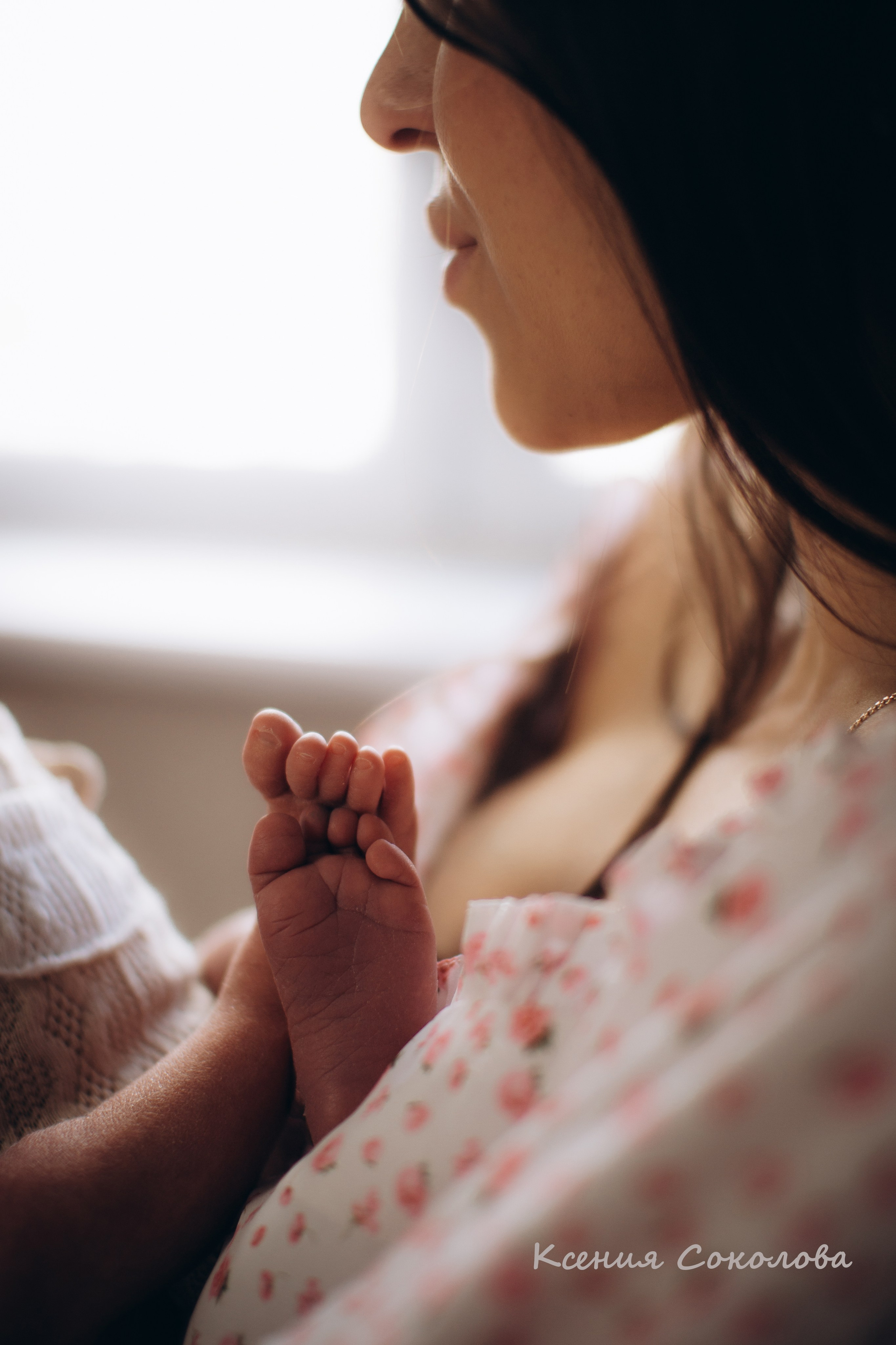 alt="семейный фотограф alt="фотограф новорожденных alt="фотосессия новорожденного alt="newborn alt="ньюборн