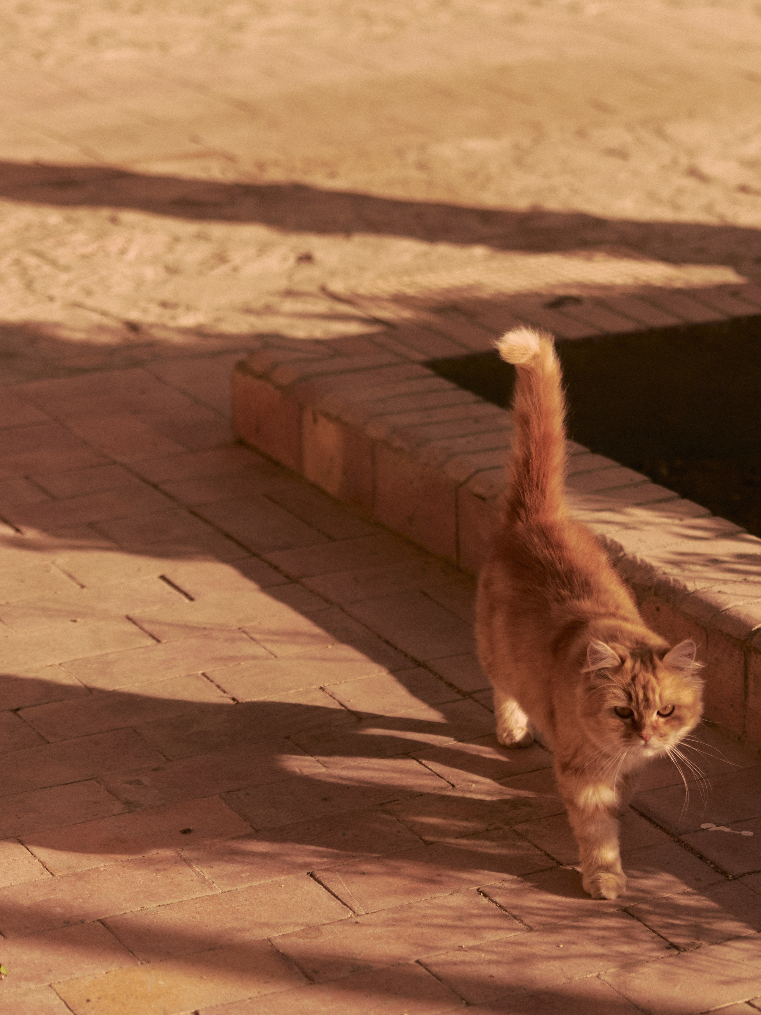 Диптих. Jorgis — фотограф в Хургаде / обучение фотографии