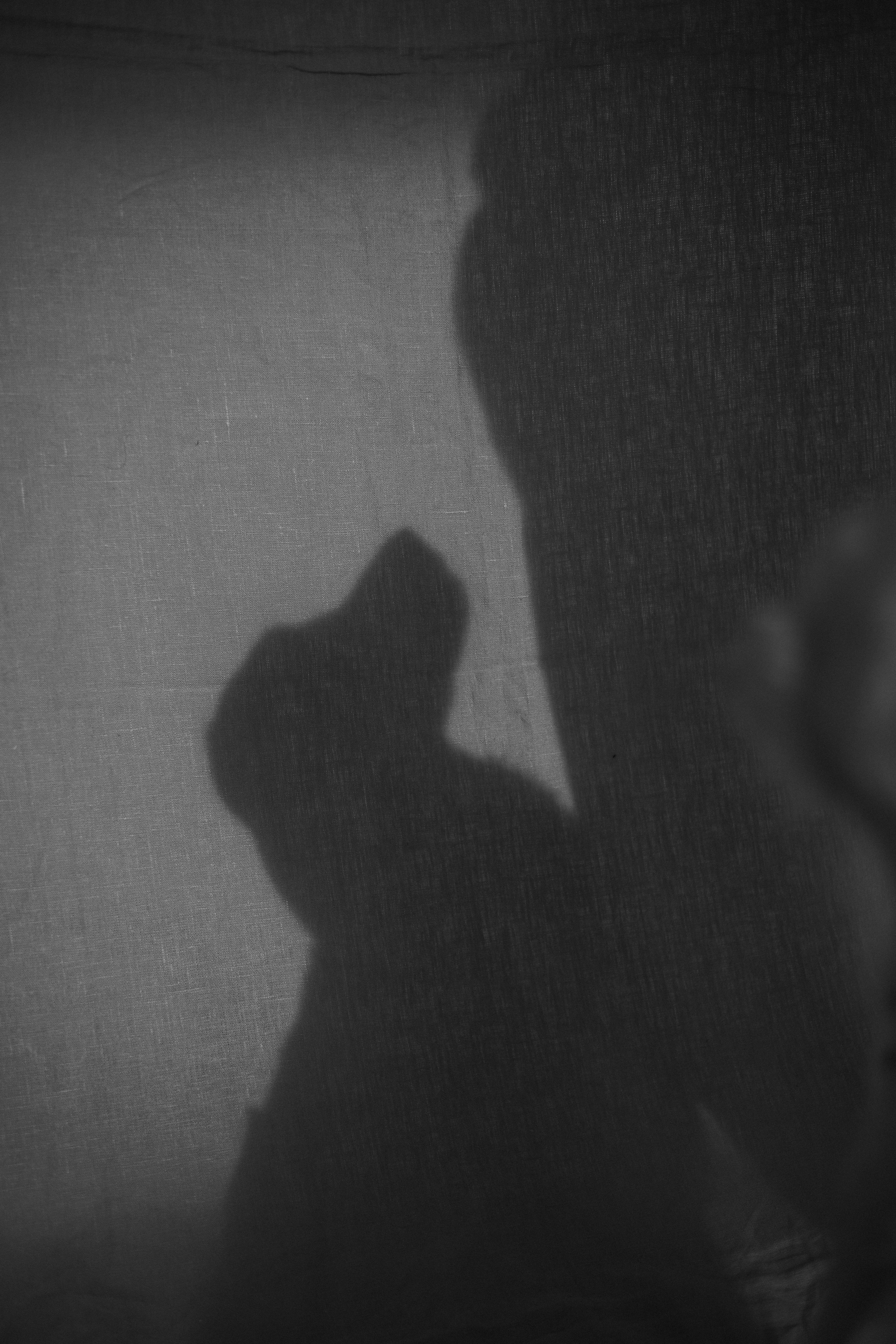 Марина и Чили. Фотограф — Анималист | Санкт-Петербург