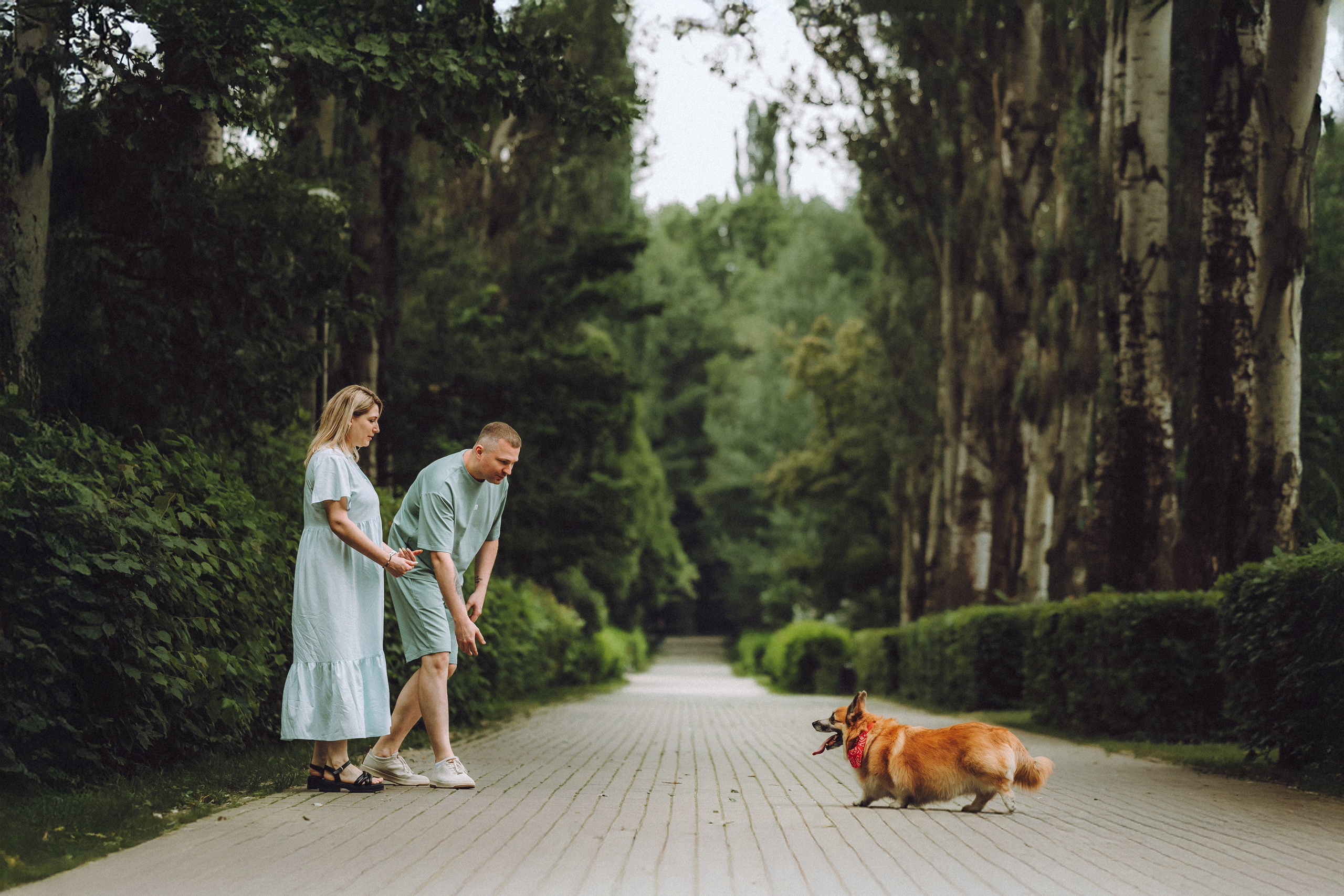 Ира, Леша и Харли