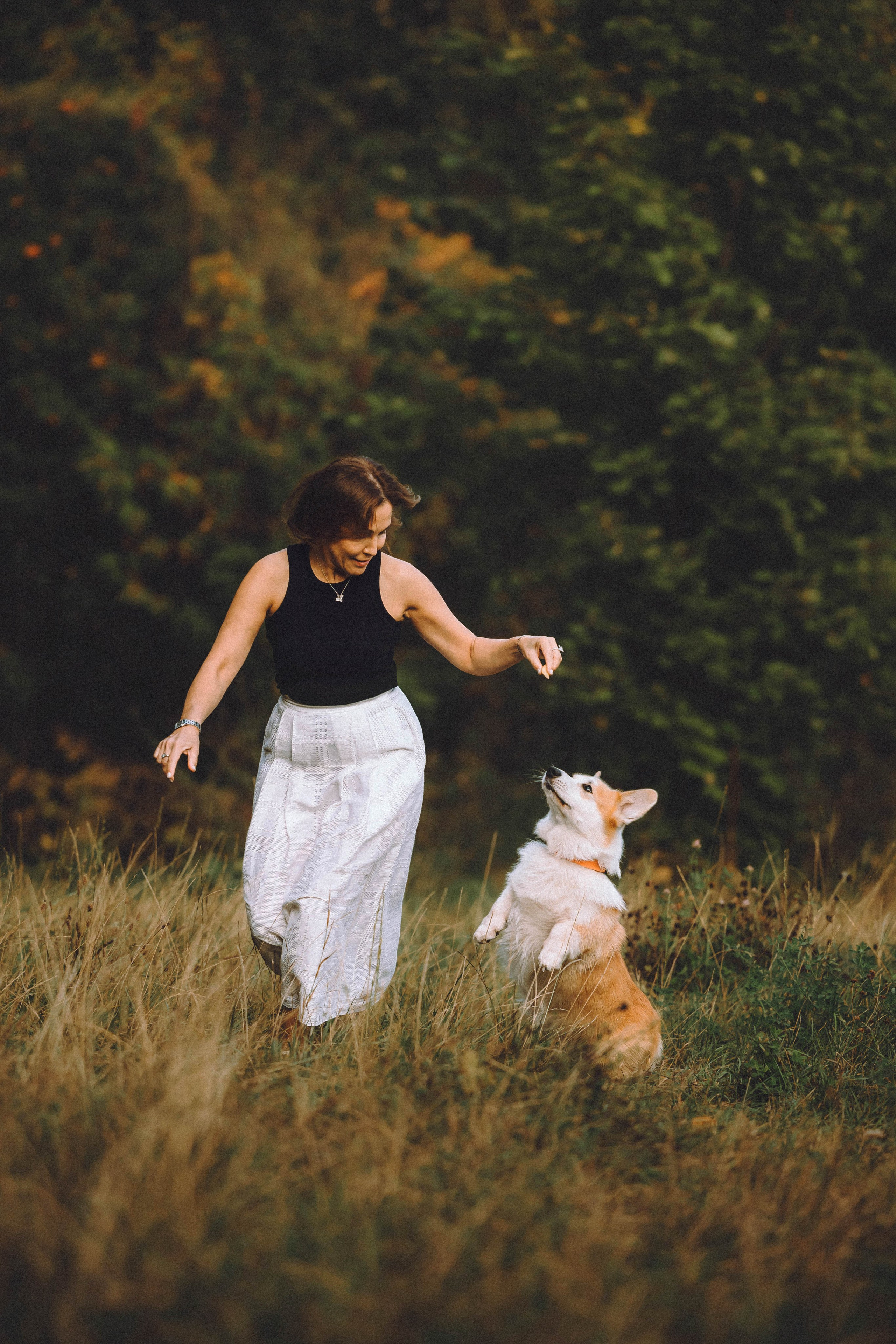 Арчи и его семья