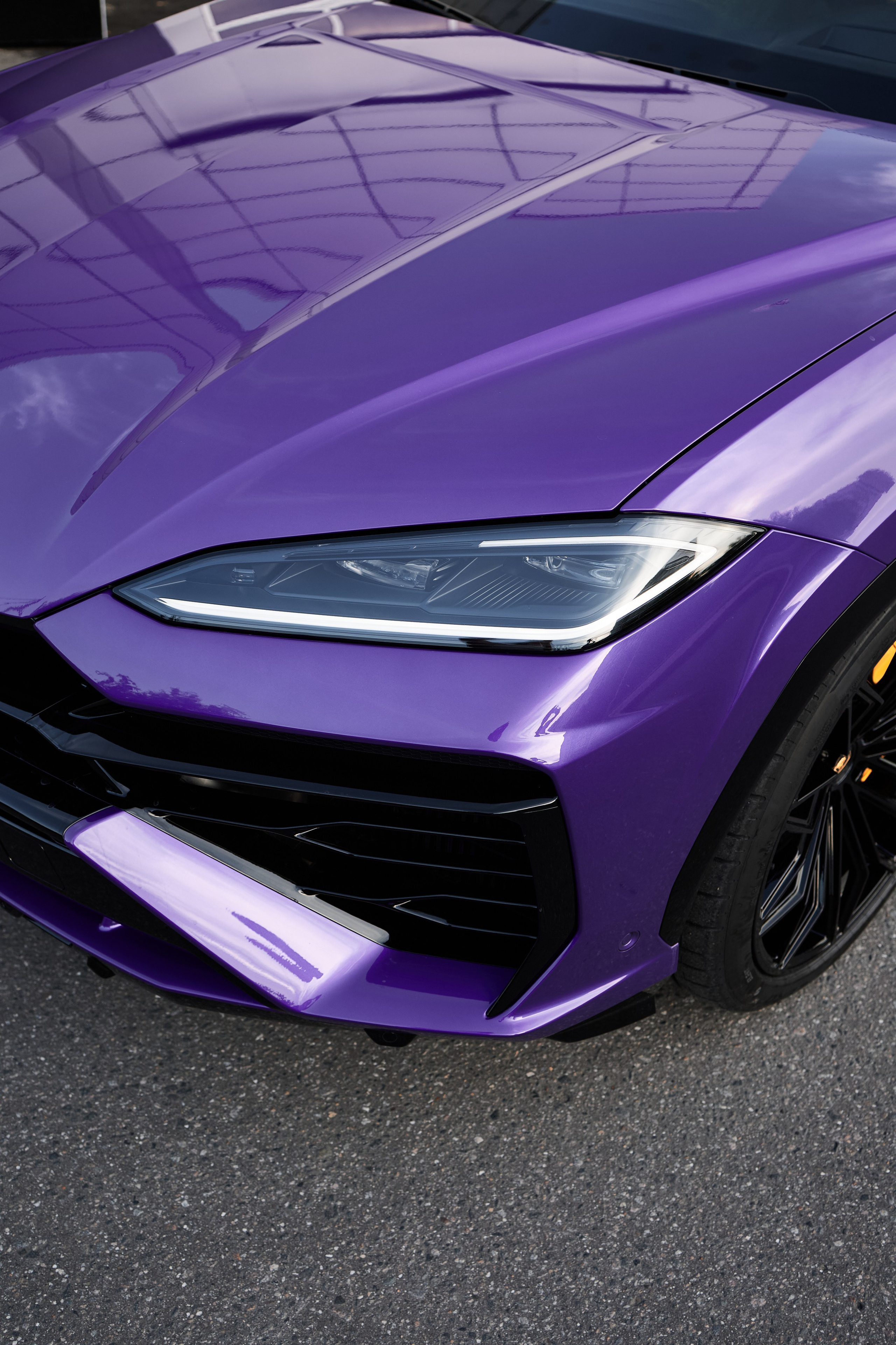 Urus. Фотограф в Москве Струц Влада