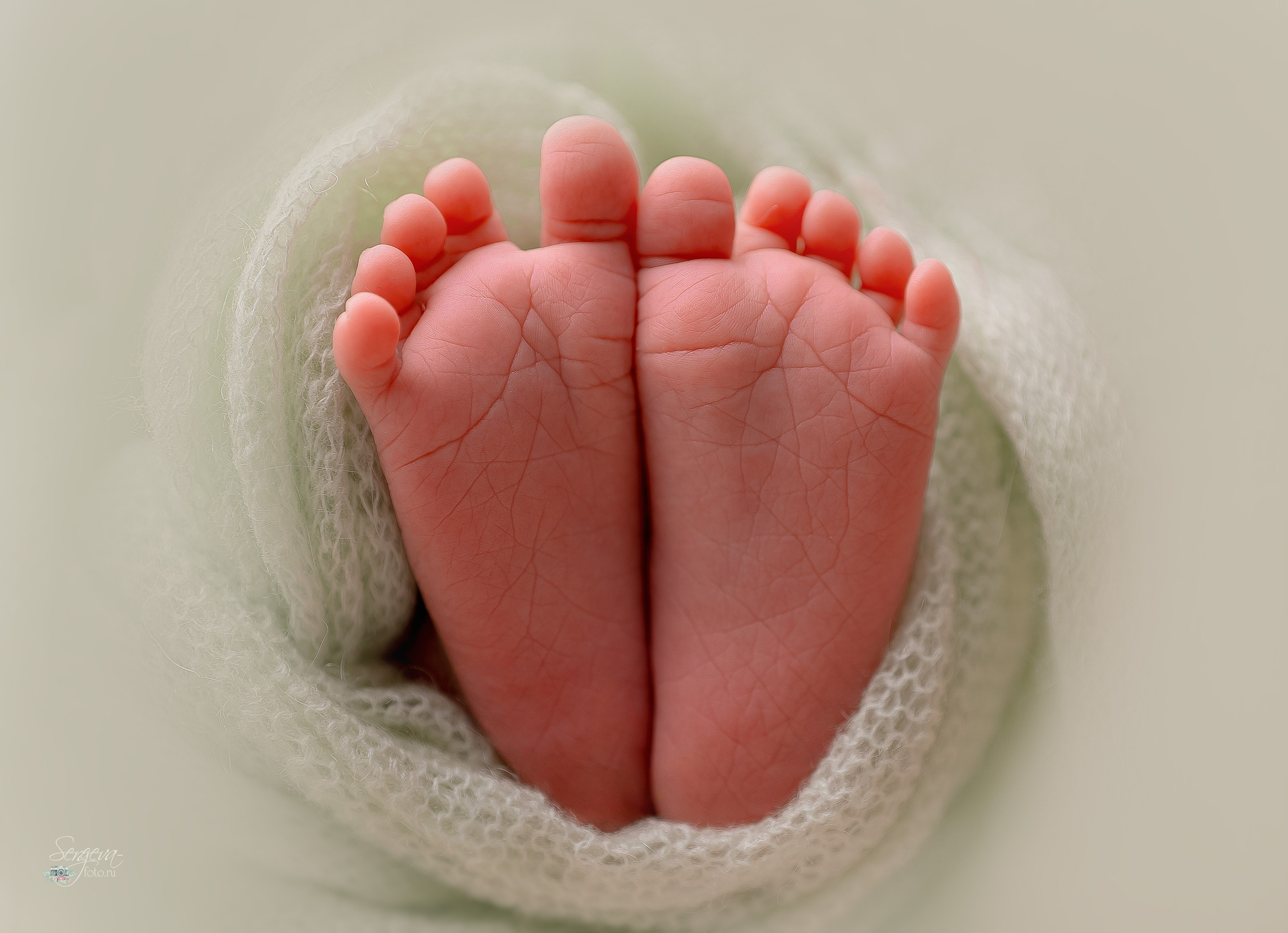 Даниил 7 дней. Фотограф новорожденных в Нижнем Новгороде Сергеева Оксана