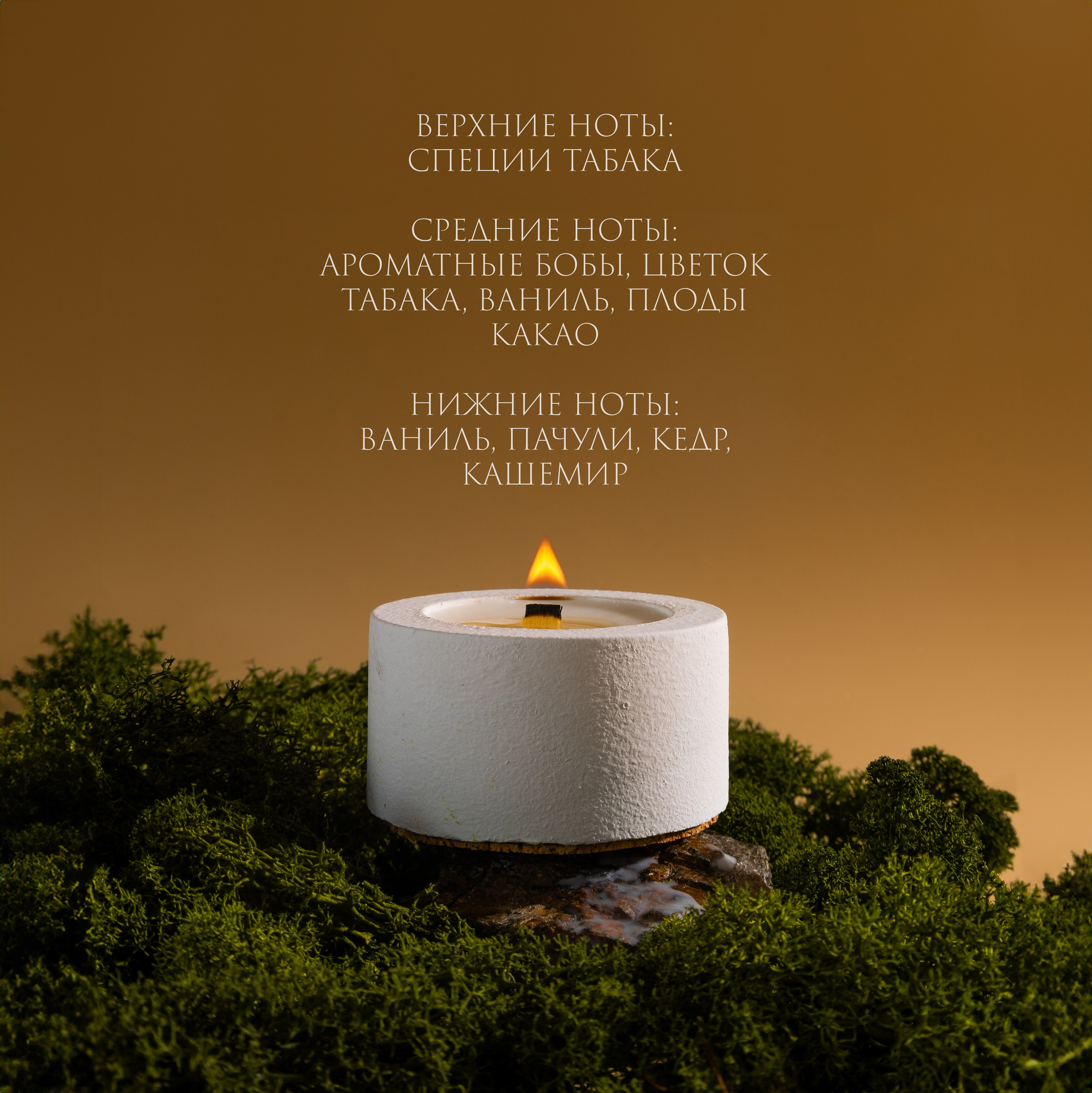 NIGHT GLOW — ароматы для дома. Контент–фотограф | Леся Лесная