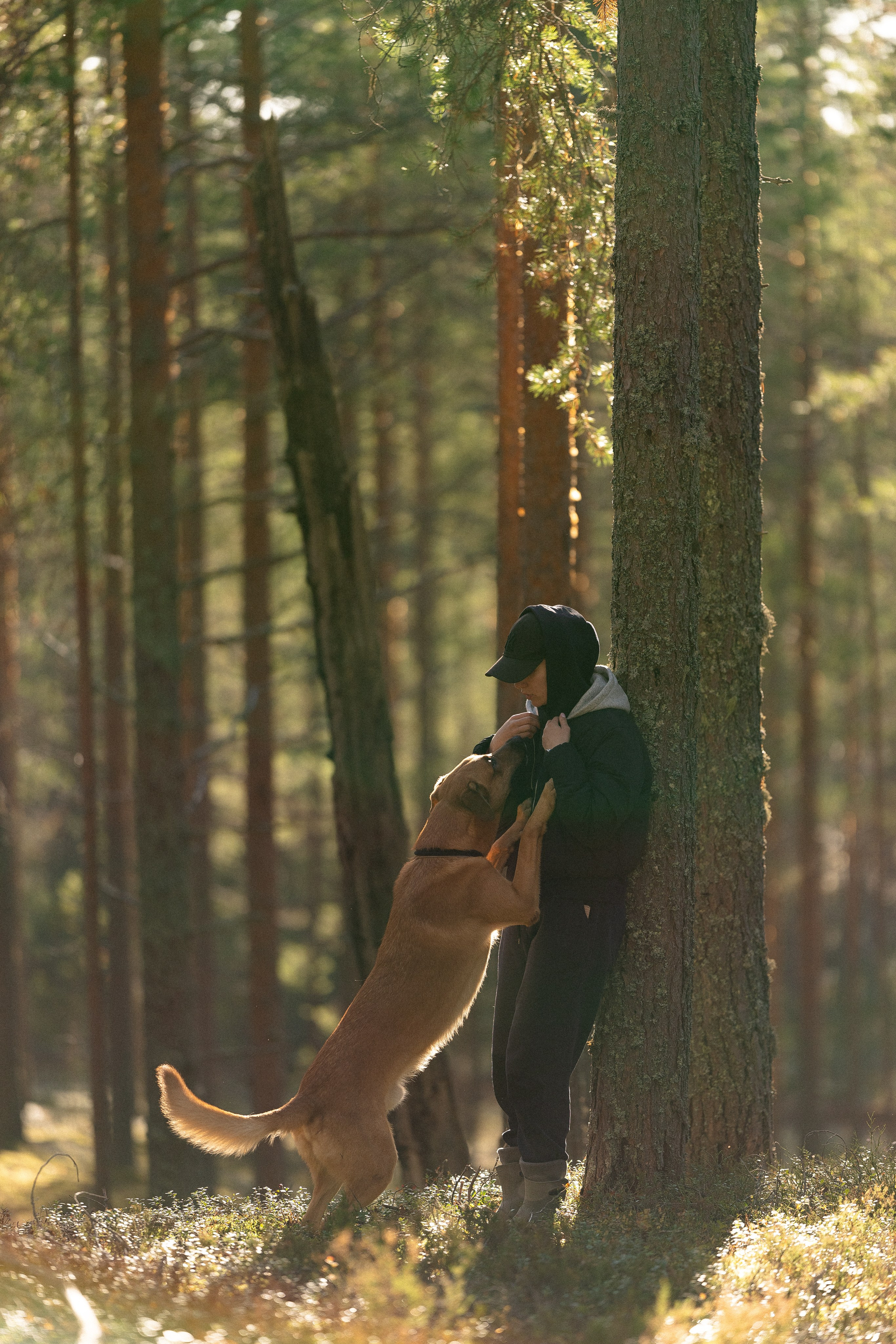 Karelia. Фотограф и видеограф анималист Аганина Дарья