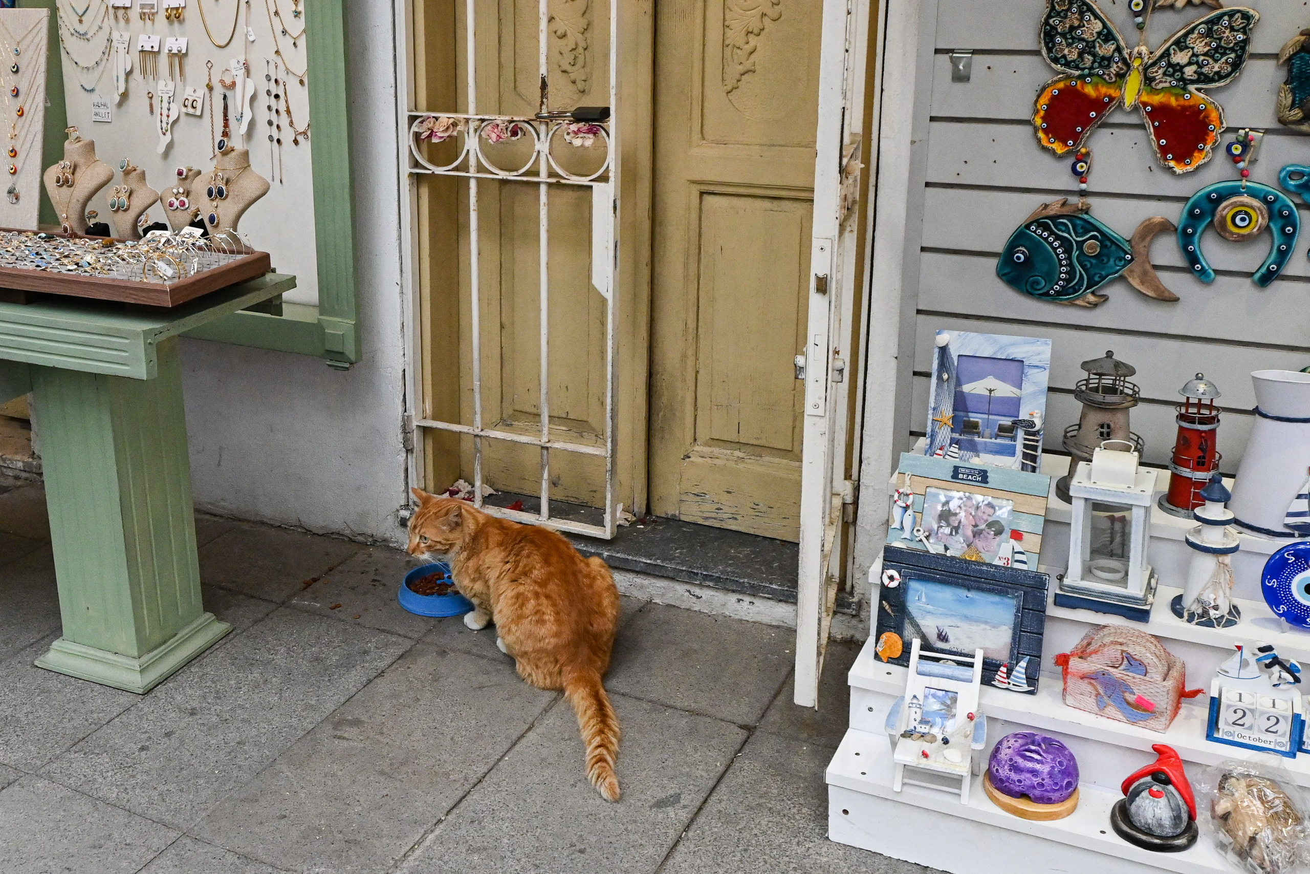 Тревел фото