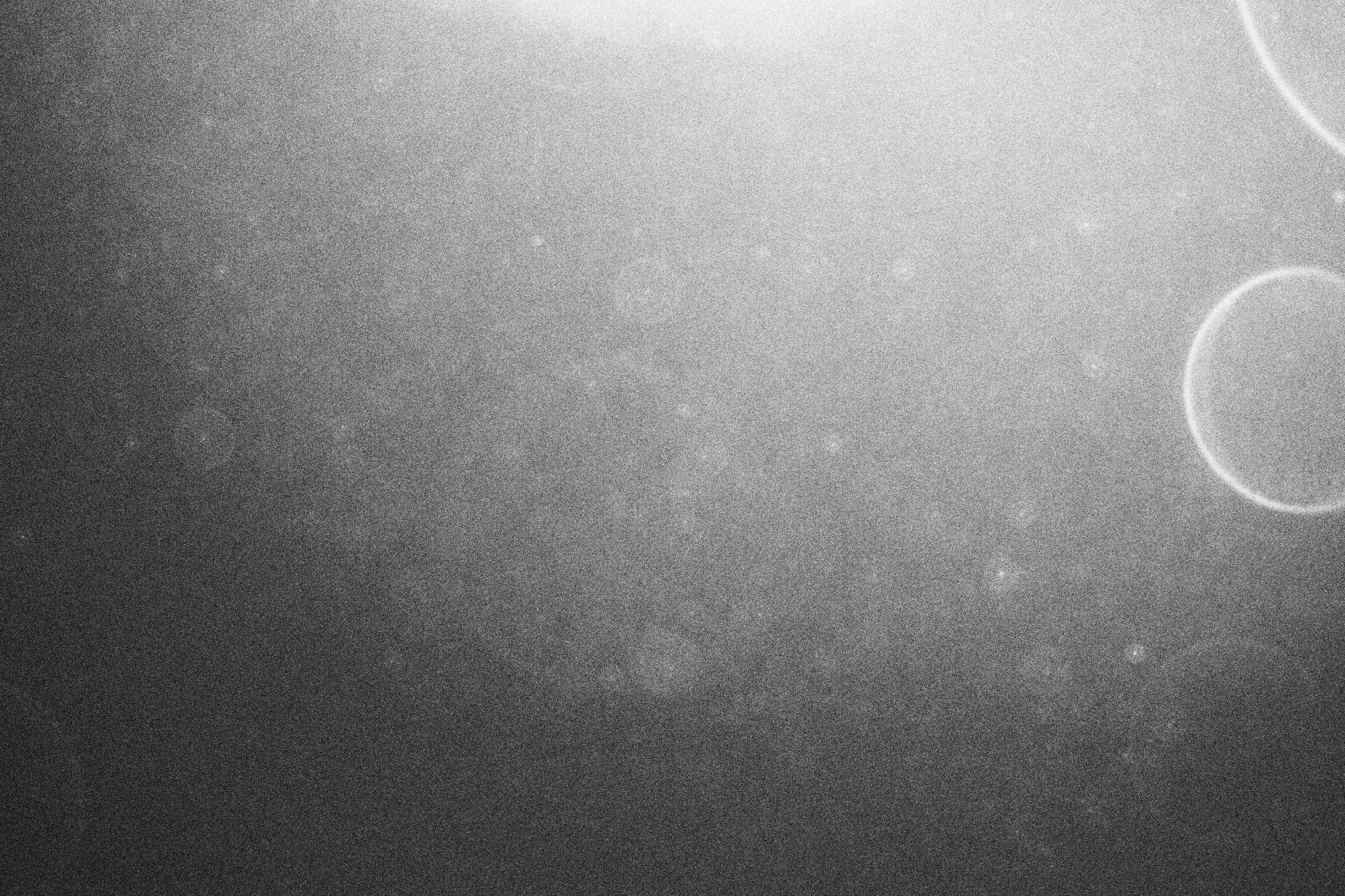 «Видеть. Чувствовать. Сохранять»