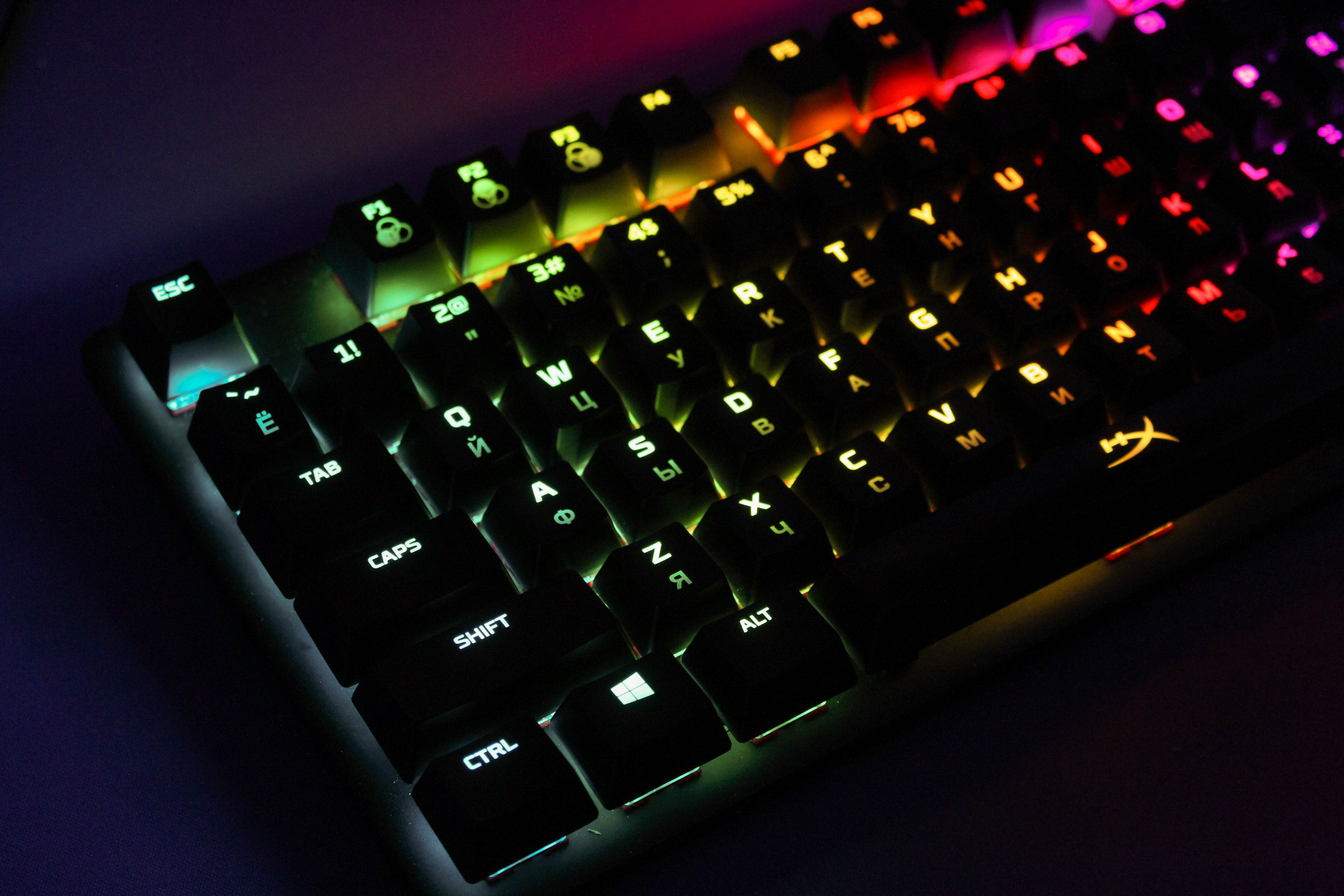 Cyber pride cs2 21.01.24. Карпогоры, Санкт-Петербург