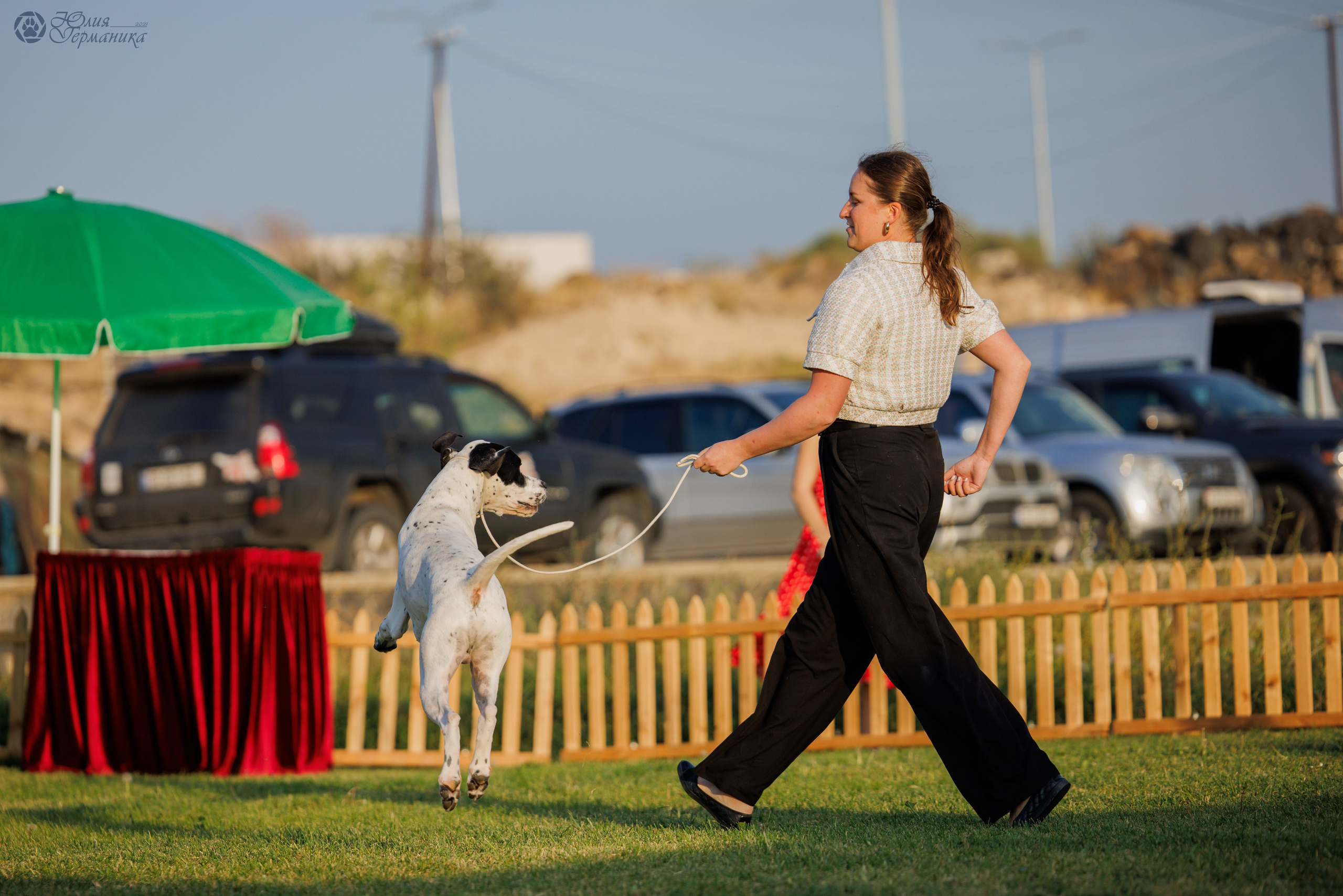 Армения,Ереван 3хCACIB 15-17.10.2024. Фотограф-анималист Юлия Германика