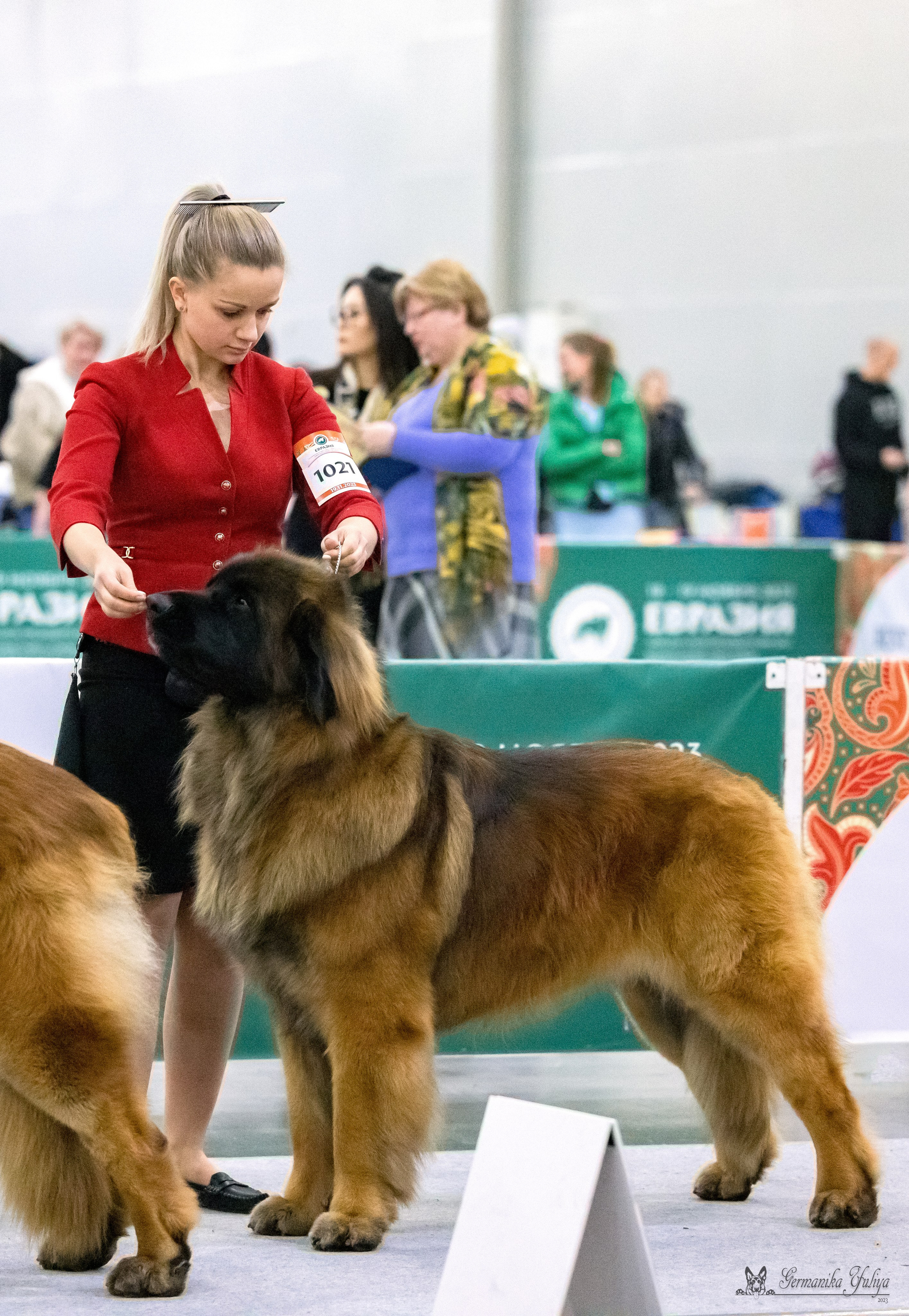ЕВРАЗИЯ 18-19.11.2023. Фотограф-анималист Юлия Германика
