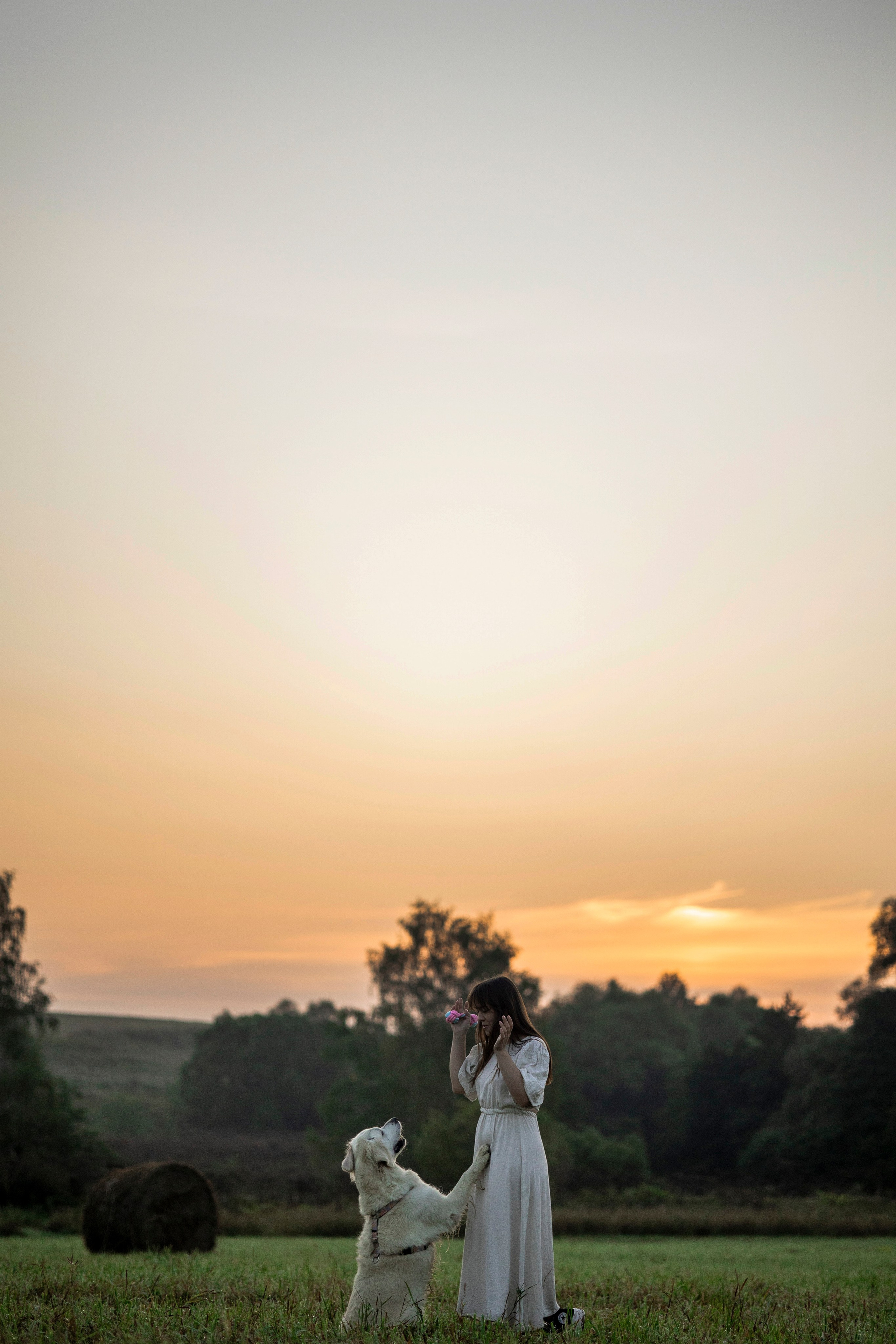 Рассветная съемка с собакой. Анастасия Белаш