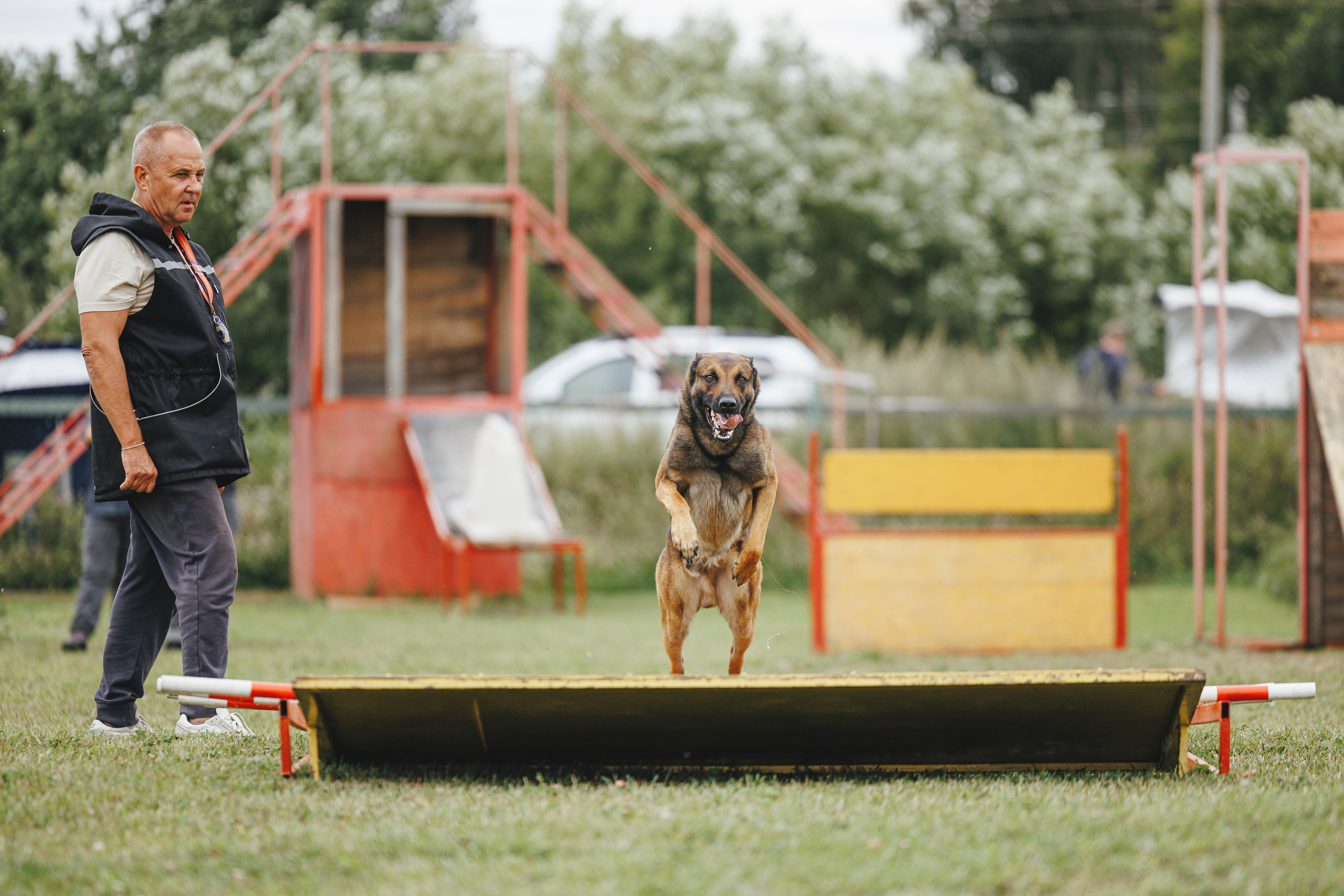 08.08.25-10.08.25 ЧР по мондьорингу г. Вологда. Фотограф-анималист Анна Маринич