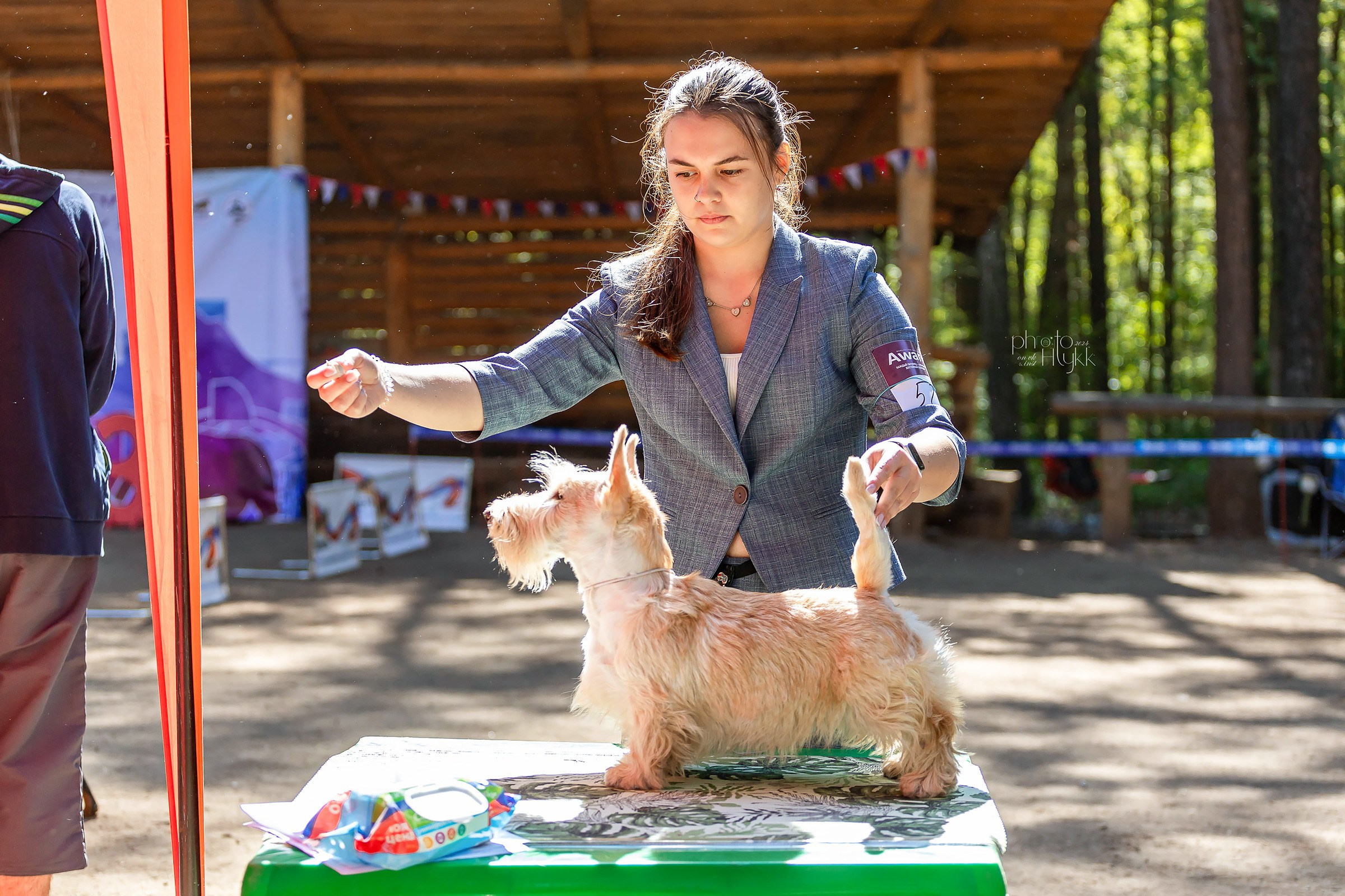 2 июня 2024, Выставка РКФ, г. Пермь. Htykk_photo