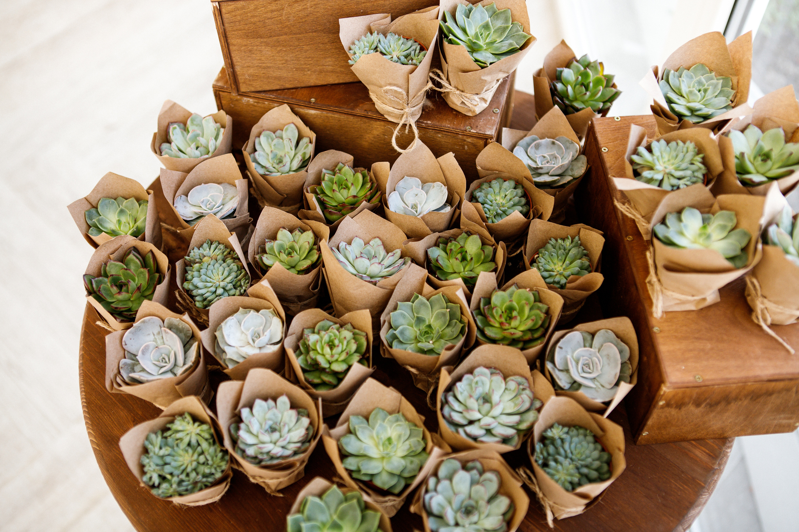 Кирилл + Галя. Свадебный, семейный и портретный фотограф в Москве, Маржан Кадышева