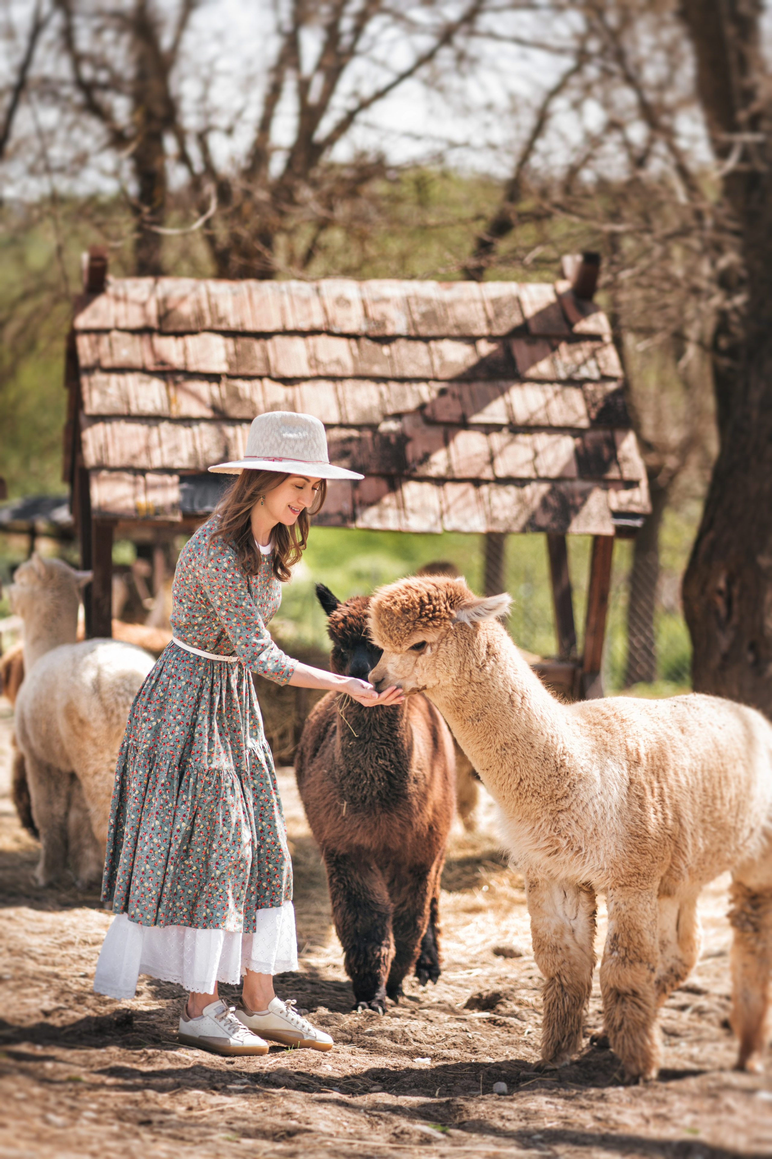 Азербайджан 2024, фотоотчет. Семейный фотограф, фотосессия беременности в Новосибирске Кристина Киб