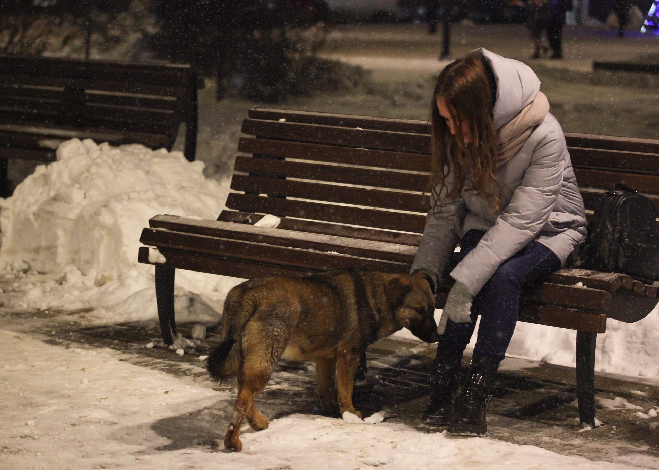Морозная прогулка. Семейный фотограф в городе Саратове — Анна
