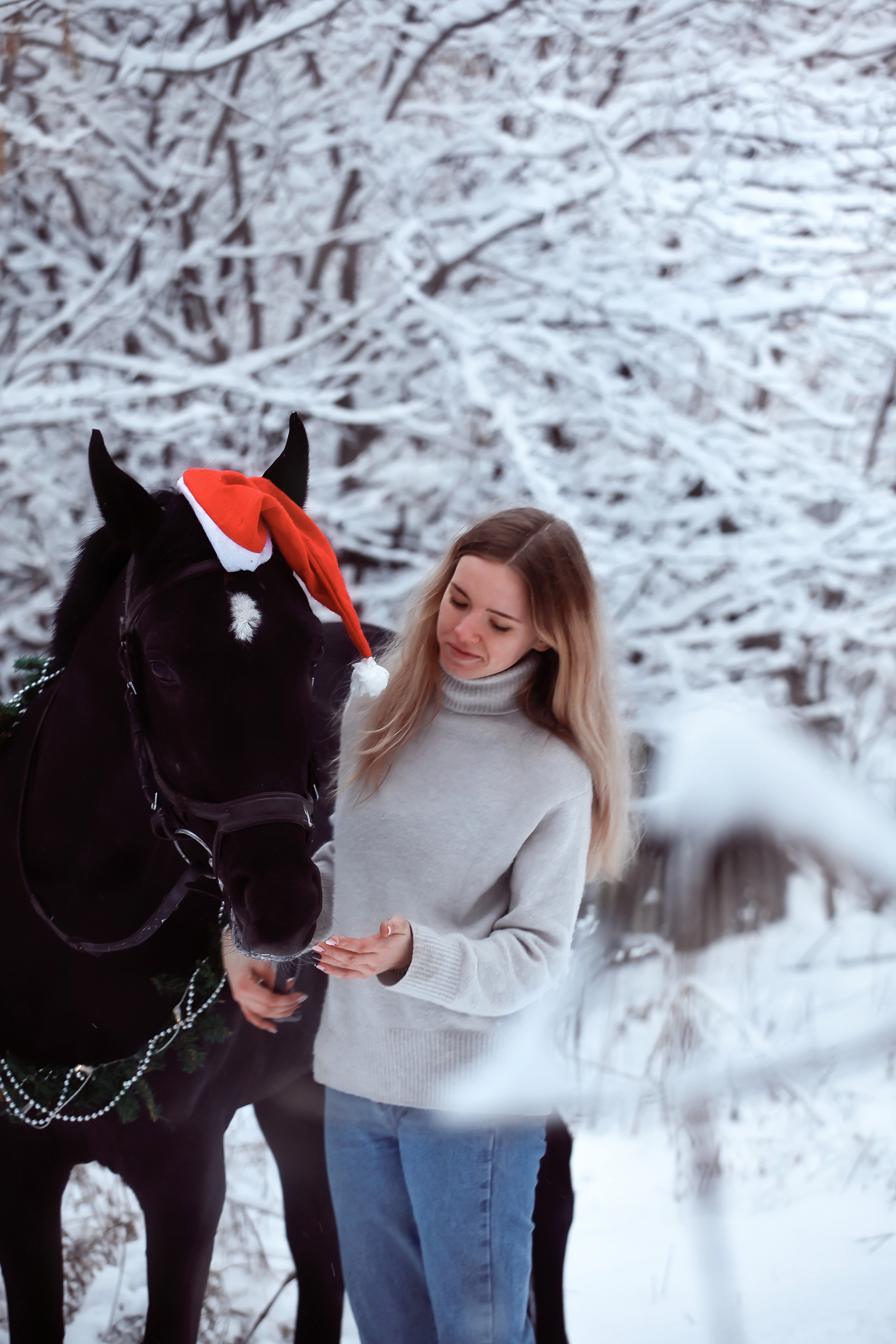 Прогулка по ипподрому. Семейный фотограф в городе Саратове — Анна