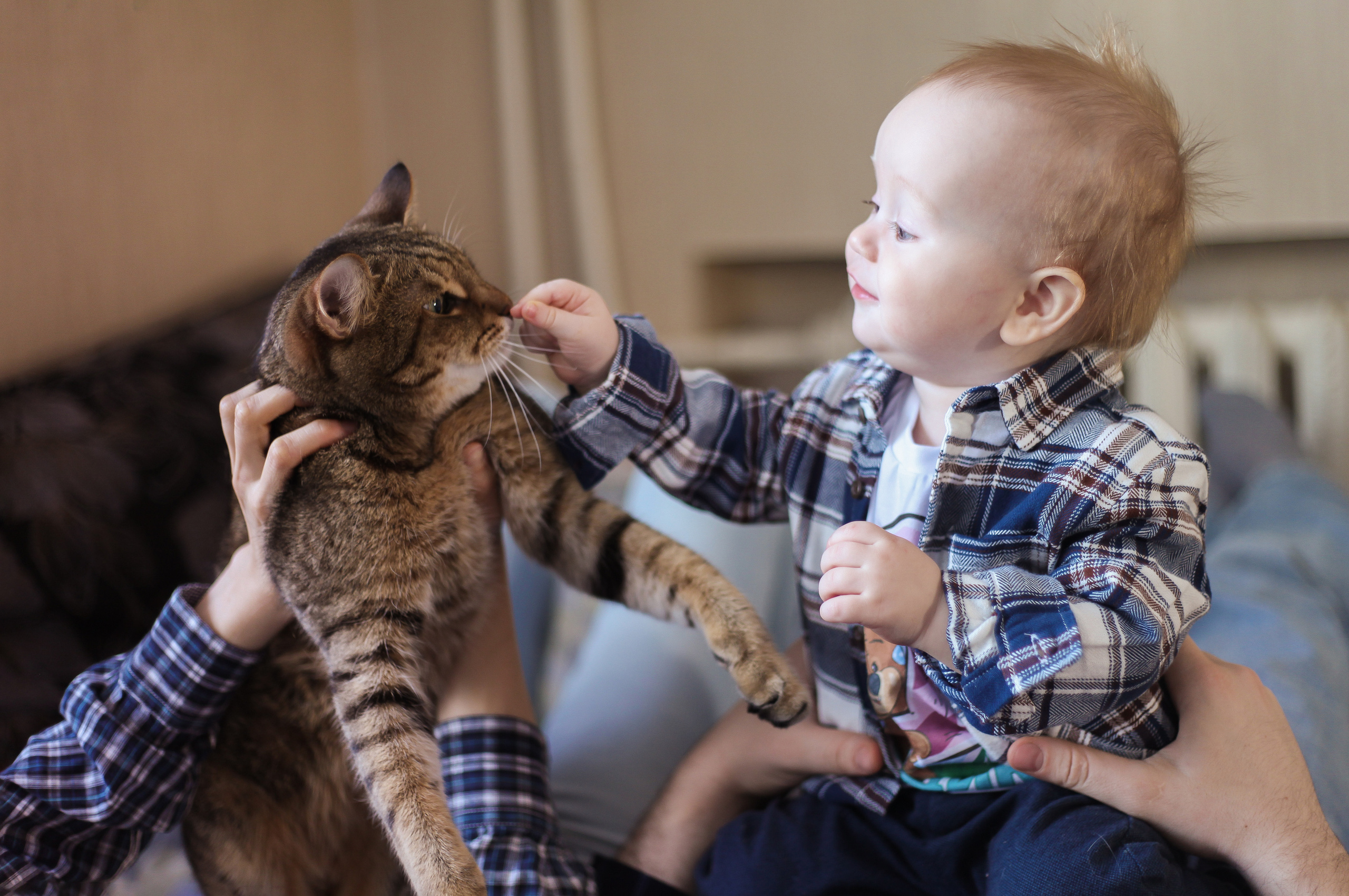 Атмосфера домашней съёмки. Семейный фотограф в городе Саратове — Анна