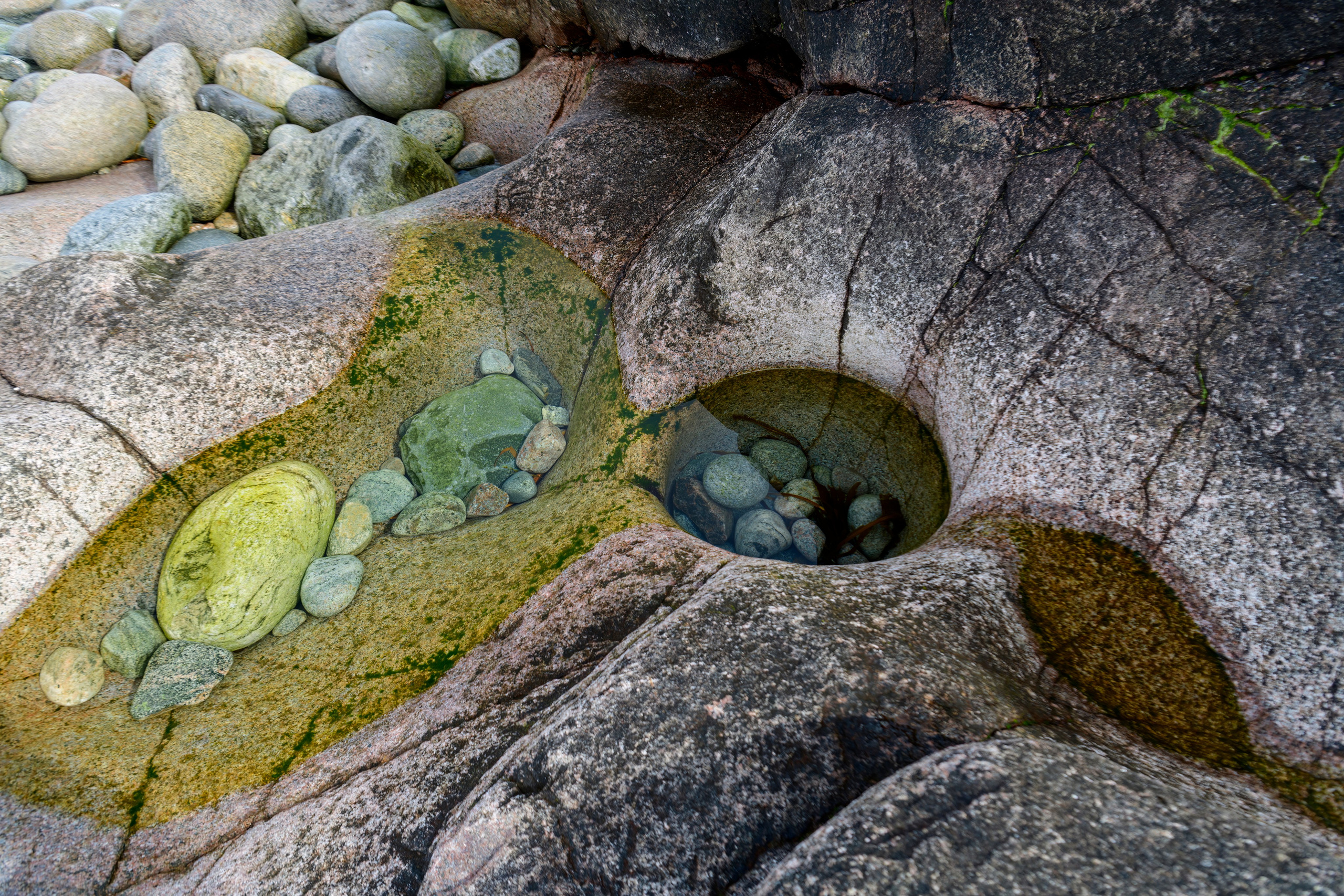 Мурманская область. Июнь 2024. Фотограф Сергей Пупонин