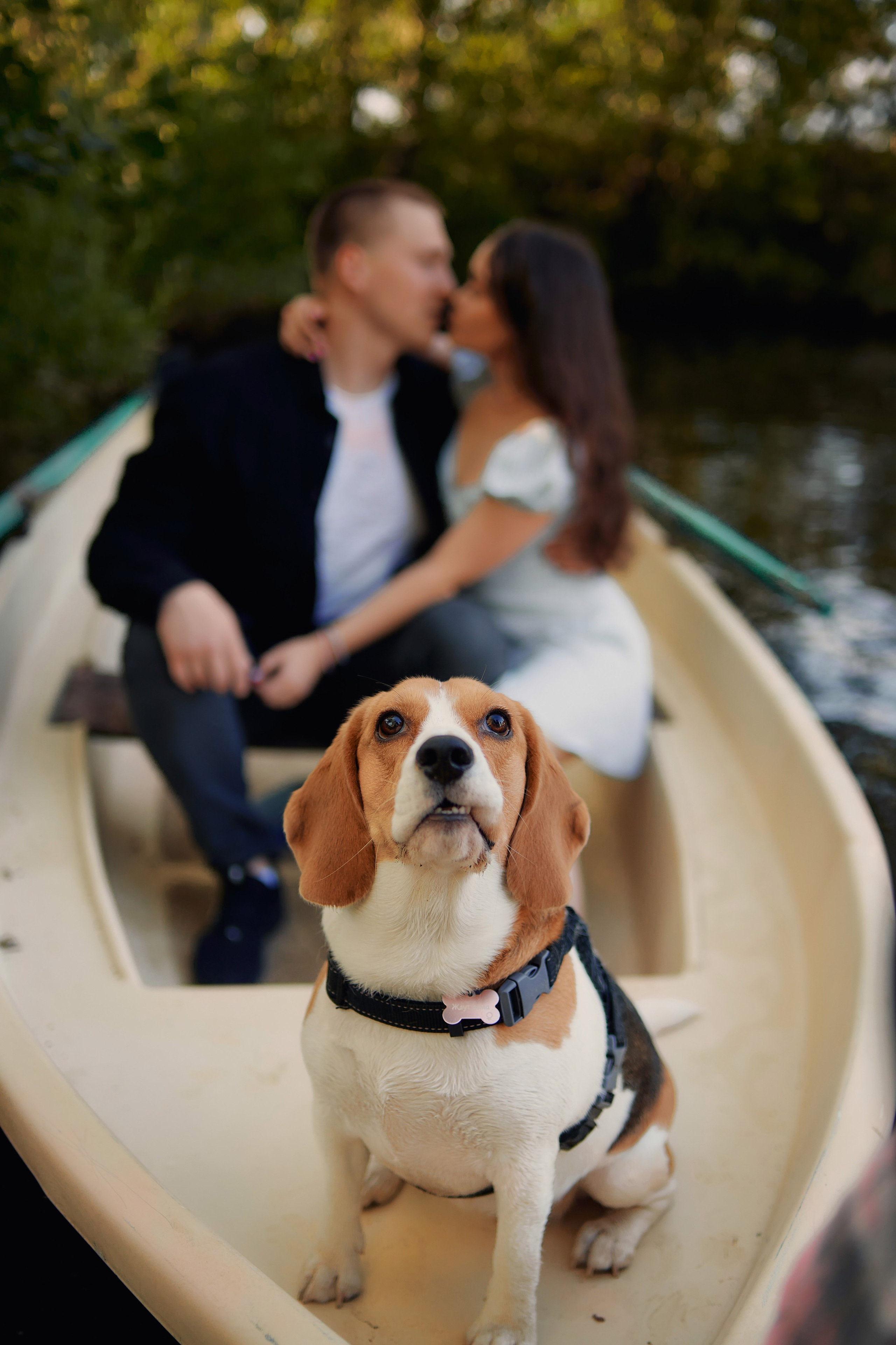 Денис и Яна. Свадебный фотограф Чайковский