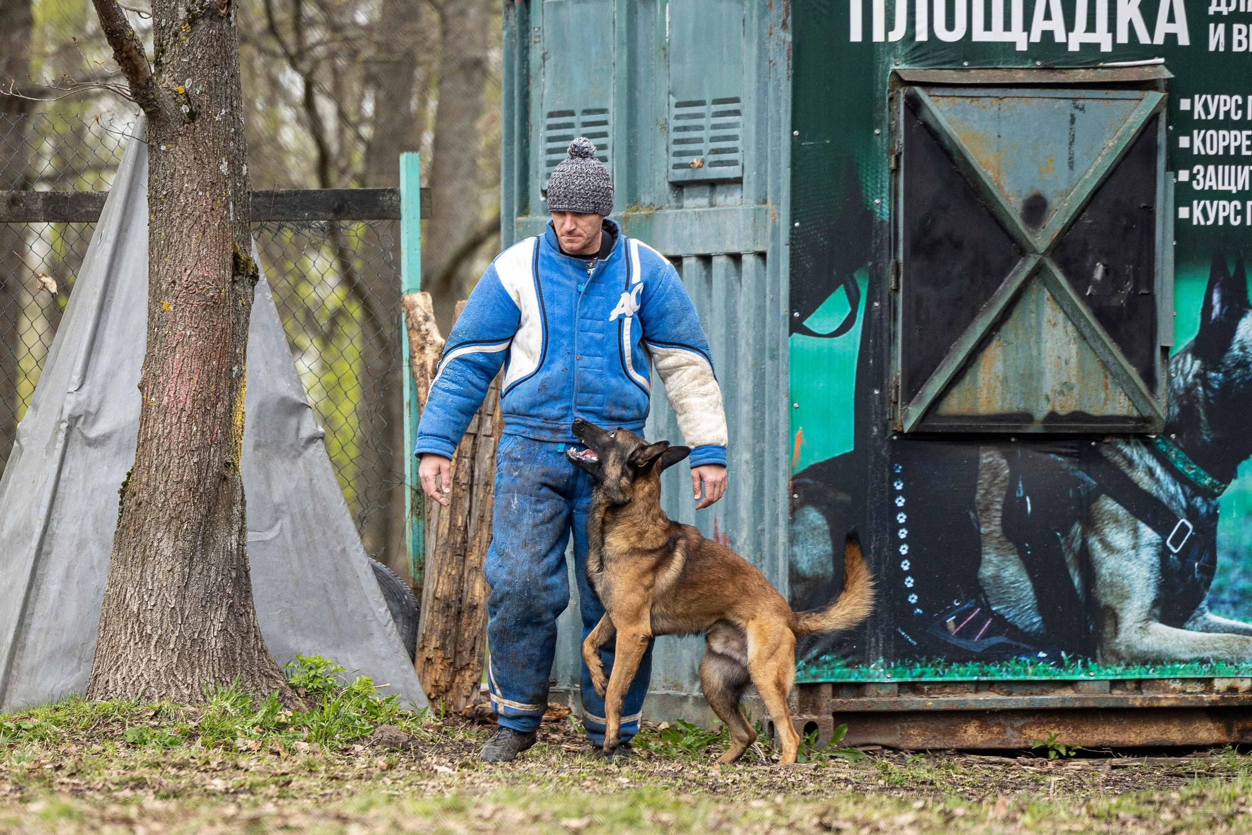 Квалификационные состязания по мондьорингу г. Вологда 11.05.24. Фотограф-анималист Анна Маринич
