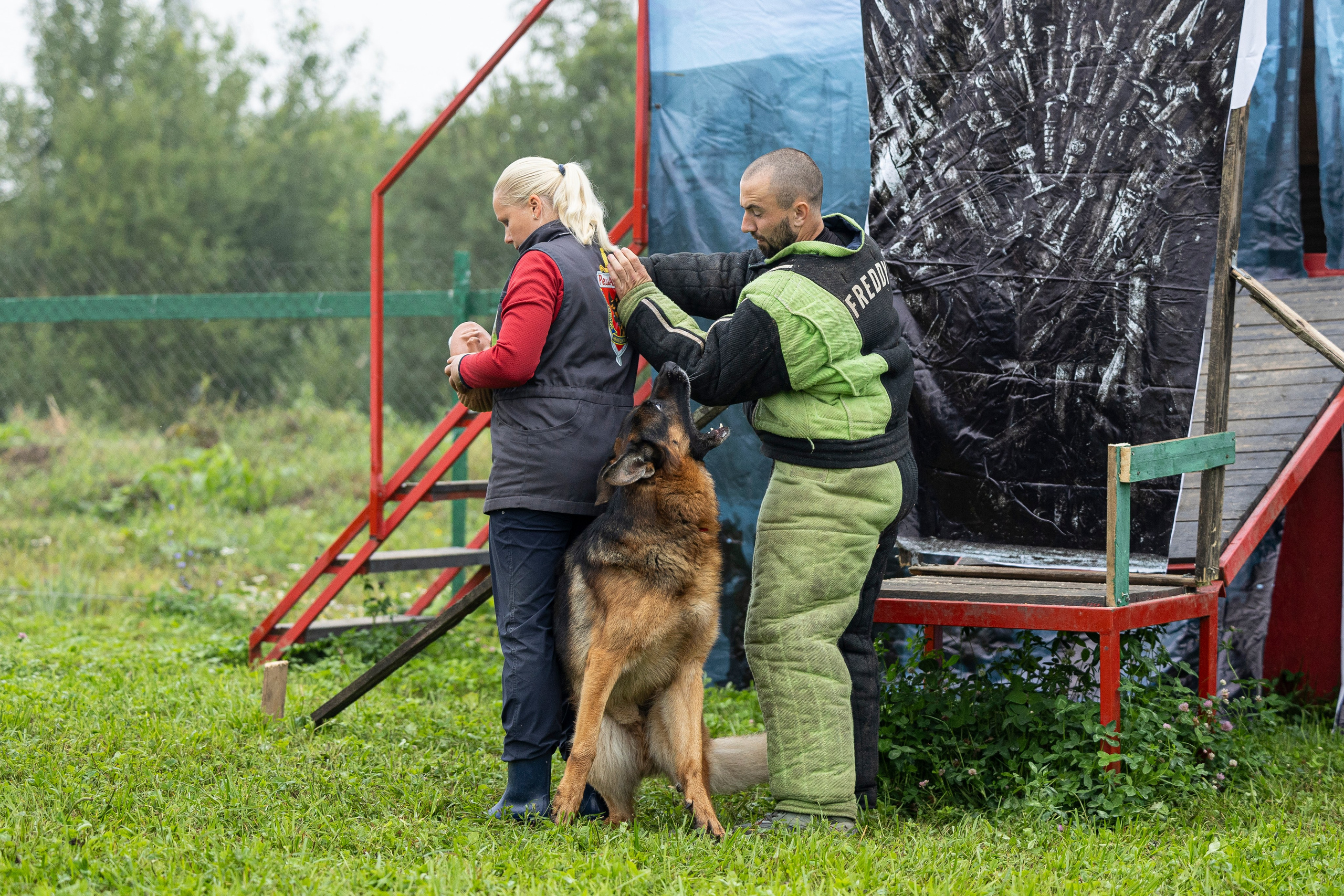 Соревнования по Мондьорингу г. Вологда 10-11.08.2024. Фотограф-анималист Анна Маринич